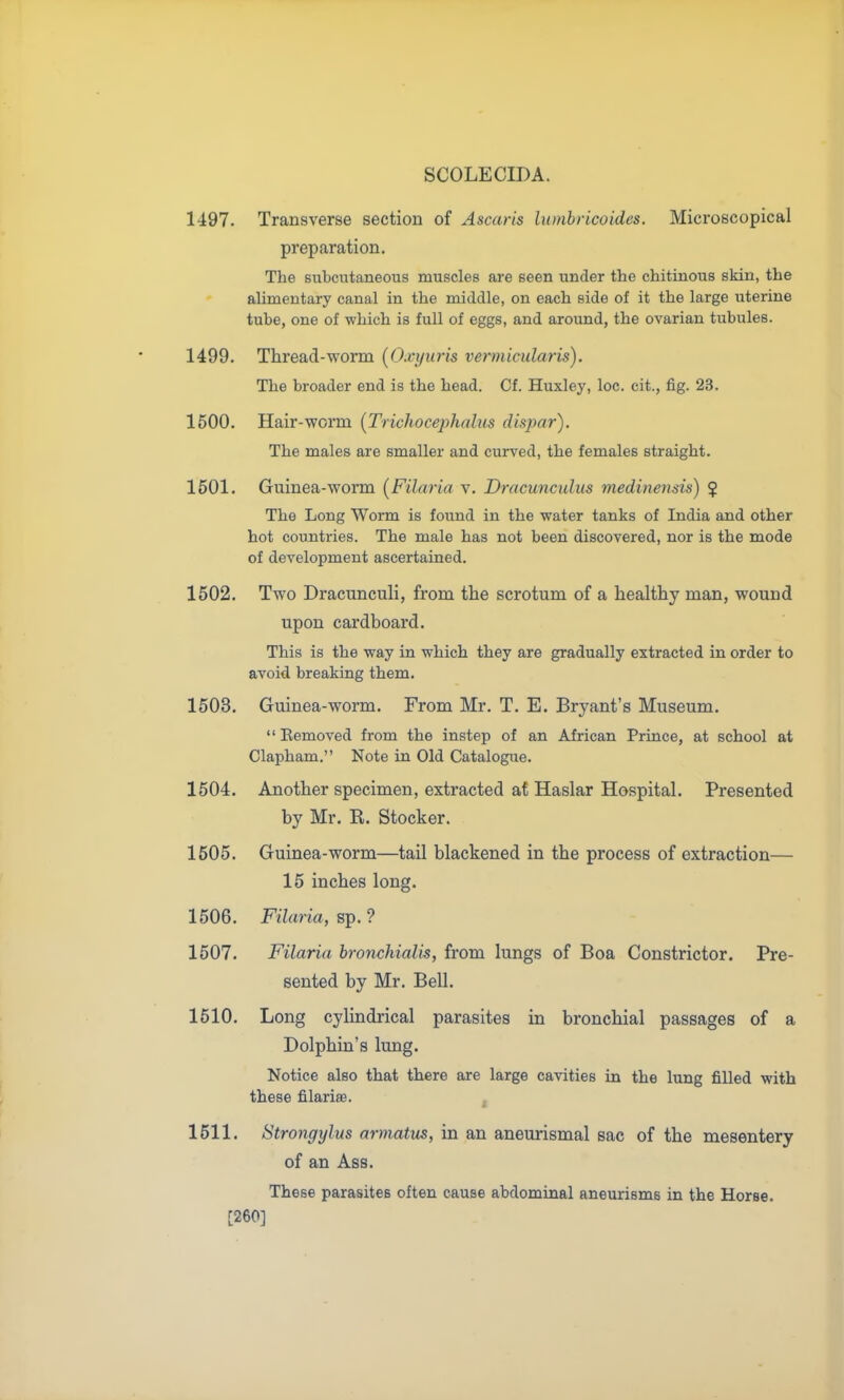 1497. Transverse section of Ascaris lumbricoides. Microscopical preparation. The subcutaneous muscles are seen under the chitinous skin, the alimentary canal in the middle, on each side of it the large uterine tube, one of which is full of eggs, and around, the ovarian tubules. 1499. Thread-worm (Oxyuris vemiicularis). The broader end is the head. Cf. Huxley, loo. cit., fig. 23. 1500. Hair-worm (Trichocephalus dispar). The males are smaller and curved, the females straight. 1601. Guinea-worm (Filaria v. Dracuncidus medinensis) $ The Long Worm is found in the water tanks of India and other hot countries. The male has not been discovered, nor is the mode of development ascertained. 1502. Two Dracunculi, from the scrotum of a healthy man, wound upon cardboard. This is the way in which they are gradually extracted in order to avoid breaking them. 1503. Guinea-worm. From Mr. T. E. Bryant's Museum.  Eemoved from the instep of an African Prince, at school at Clapham, Note in Old Catalogue. 1504. Another specimen, extracted at Haslar Hospital. Presented by Mr. R. Stocker. 1505. Guinea-worm—tail blackened in the process of extraction— 15 inches long. 1506. Filaria, sp. ? 1507. Filaria bronchialis, from lungs of Boa Constrictor. Pre- sented by Mr. Bell. 1510, Long cylindrical parasites in bronchial passages of a Dolphin's lung. Notice also that there are large cavities in the lung filled with these filarias. 1511. Strongylus armatus, in an aneurismal sac of the mesentery of an Ass. These parasites often cause abdominal aneurisms in the Horse. [260]