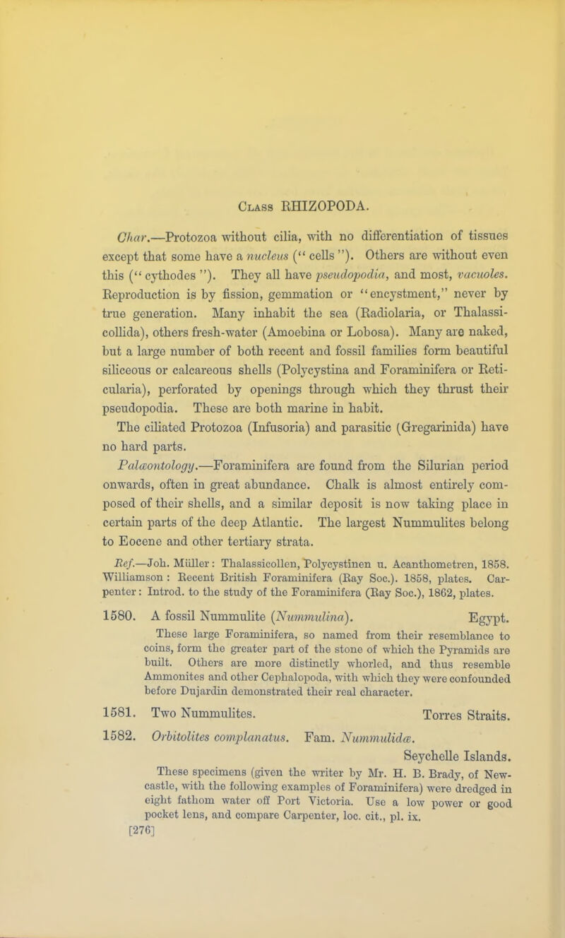 Class RHIZOPODA. Char.—Protozoa without cilia, with no differentiation of tissues except that some have a nucleus cells ). Others are without even this ( cythodes ). They all have pseudopodia, and most, vacuoles. Reproduction is by fission, gemmation or encystment, never by true generation. Many inhabit the sea (Radiolaria, or Thalassi- coUida), others fresh-water (Amoebina or Lobosa). Many are naked, but a large number of both recent and fossil families form beautiful siliceous or calcareous shells (Polycystina and Foraminifera or Reti- cularia), perforated by openings through which they thrust their pseudopodia. These are both marine in habit. The ciliated Protozoa (Infusoria) and parasitic (Gregai'inida) have no hard parts. Paleontology.—Foraminifera are found from the Silurian period onwards, often in great abundance. Chalk is almost entirely com- posed of their shells, and a similar deposit is now taking place in certain parts of the deep Atlantic. The largest Nummulites belong to Eocene and other tertiary strata. ReJ.—Job. Miiller: ThalassicoUen, Polycystinen u, Acanthometren, 1858. Williamson : Recent British Foraminifera (Eay Soc). 1858, plates. Car- penter : Introd. to the study of the Foraminifera (Ray Soc), 1862, plates. 1580. A fossil Nummulite {Nummulina). Egypt. These large Foraminifera, so named from their resemblance to coins, form the gi-eater part of the stone of which the Pyramids are buUt. Others are more distinctly whorled, and thus resemble Ammonites and other Cephalopoda, with which they were confounded before Dujardin demonstrated their real character. 1581. Two NummuUtes. Torres Straits. 1582. Orhitolites complanatus. Fam. Nummulidw. Seychelle Islands. These specimens (given the wiiter by Mr. H. B. Brady, of New- castle, with the following examples of Foraminifera) were dredged in eight fathom water off Port Victoria. Use a low power or good pocket lens, and compare Carpenter, loc. cit., pi. ix. [276]