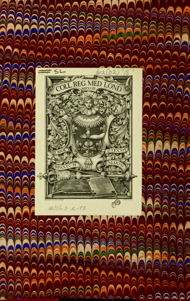 MDXVIII TEX'S'^, Aaa/ Khh Wr SË X O c S /m nnrY gpn G/ Sp (Hpi wmm mmfc P*-', V -—P f ^^ rnn OC V P /■> O ^ ^ â p p P X r SAJ v/^' -O ew ^v/1 A r =5v /P ^ «SK -- \r\f\f /K ;/ .—. ^—• va 1 lj ■ • / 0/v O O/- ’ 7 r'I r 0 î* ^ A 1/x fR Aa !» Tj