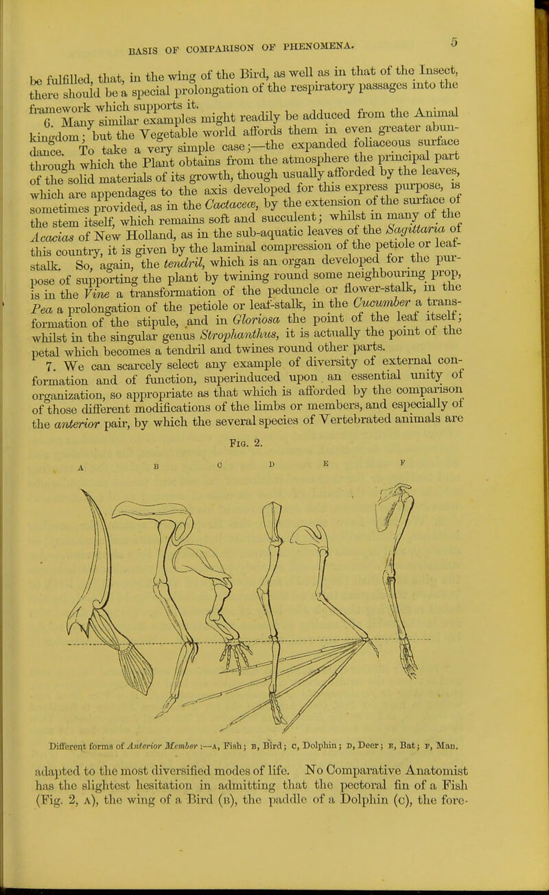 be fixlfilled, that, in the wing of the Bii-d, as well as in that of the Insect, tteiS^shol be ; special prolongation of the respiratory passages mto the '71^^;^:^'^ mi^ readily be adduced fron. the AnW kingdom: but the Vegetable world affords them in even gi^eater abun- toe To take a very simple case;-the expanded foliaceous surface tWc.h which the Plant obtains from the atmosphere the prmcipal part of tlS'solId materials of its growth, though usually afforded by the leave^ which are appendages to the axis developed for this express purpose ^ ometimes provided, as in the Ga^acece, by the extension of the sm-face of the stem itself, which remains sofb and succulent; whilst in many of the Acacias of New Holland, as in the sub-aquatic leaves of the SagUtarm of this coimtry, it is given by the laminal compression of the petiole or leaf- stalk. So, again, the tendrU, which is an organ developed for the pui- pose of supporting the plant by twining round some neighbouring prop, is in the a transformation of the peduncle or flower-stalk, m the Fea a prolongation of the petiole or leaf-stalk, in the Cucumber^ trans- formation of the stipule, and in Gloriosa the point of the leal itseli; whilst in the singular genus Strophanthus, it is actually the point ot tHe petal which becomes a tencbil and twines round other parts. 7. We can scarcely select any example of diversity of external con- formation and of function, superinduced upon an essential unity ot organization, so appropriate as that which is afforded by the comparison of those different modifications of the limbs or members, and especially ol the anterior pair, by which the several species of Vertebrated animals are Pig. 2. Different foras Anterior Memher :—a, Fish; B, Bird; o, Dolphin; D, Deer; e, Bat; f, Man. adapted to the most diversified modes of life. No Comparative Anatomist has the slightest hesitation in admitting that the pectoral fin of a Fish