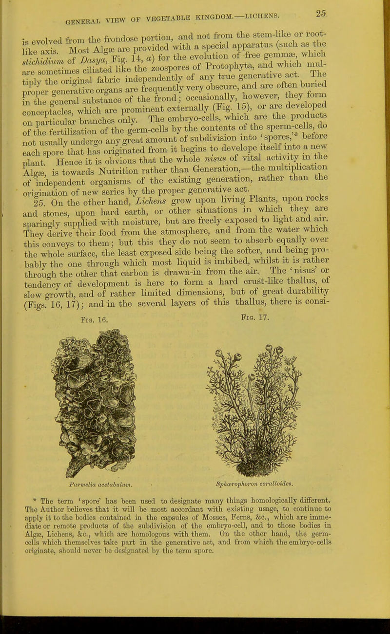 is evolved from tlie frondose portion, aaid not from the stem-like or root- ike Ss Most Alga, are provided with a special apparatus (such as the lite axis, mu&u o i , „ pvolution of free s;emma3, which slicMdmm of Dasya, Fig. U, a) loi tlie evomuou ui ^ , nrP sometimes ciliated like the zoospores of Protophyta, and wlucJi imu tirt r^^^^^ fabric independently of *-e generative act. The Zner -enenitive organs are frequently very obscui-e, and are often buiied £ the .eneml substance of the frond; occasionally, hoMrever, they form LtptSfwHch aa-e prominent externally (Fig. 15 , or - ^lev^^^^^^^^^^ on particular branches only. The embiyo-cells, which are tlie products of the fertilization of the germ-cells by the contents of the ^P^nn-cells do not usually imdergo any great amount of subdivision into spores before Lch spoi/that ha's originated fr-om it begins to develope itself into a new plant. Hence it is obvious that the whole oiisus of vital activity m the A1-£B, is towards Nutrition rather than Generation—the multiplication of independent organisms of the existing generation, rather than the origination of new series by the proper generative act. 25 On the other hand, Lichens grow upon living Plants, upon rocks and stones, upon hard earth, or other situations in which they are sparingly suppUed with moisture, but are freely exposed to light and air. They derive their food from the atmosphere, and from the water which this conveys to them; but this they do not seem to absorb equally over the whole surface, the least exposed side being the softer, and being pro- bably the one through which most liquid is imbibed, whilst it is rather thi'ough the other that carbon is drawn-in from the air. The 'nisus or tendency of development is here to form a hard crust-like thallus, ot slow gi'owth, and of rather Hmited dimensions, but of great durability (Figs. 16, 17); and in the several layers of this thallus, there is consi- FiG. 16. 17. Paitmelia acetabulum. Sphaerophoron coralloides. * The term ' spore' has been used to designate many things homologically different. The Author believes that it will be most accordant with existing usage, to continue to apply it to the bodies contained in the capsules of Mosses, Ferns, &c., which are imme- diate or remote products of the subdivision of the embiyo-cell, and to those bodies in AlgiE, Lichens, &c., which are homologous with them. On the other hand, the germ- cells which themselves take part in the generative act, and from which the embryo-cells originate, should never be designated by the term spore.