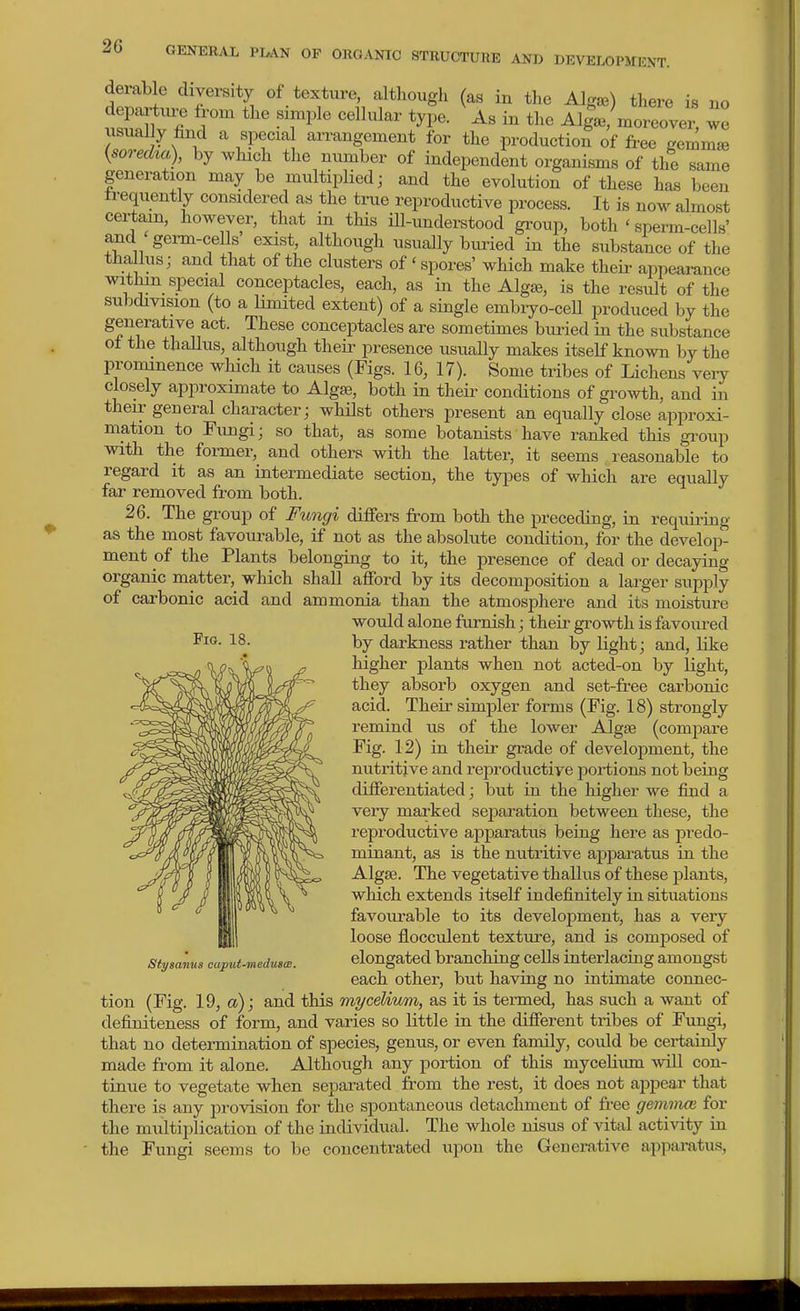 derable diversity of texture, although (as in the Algae) there is no depai^iu^ from the simple cellular type. As in the AlgVmoreover we usual y find a special arrangement for the production of free gemmje {sorecha), by which the number of independent organisms of the same generation may be multiplied; and the evolution of these has been frequently considered as the true reproductive process. It is now almost certain, however, that in this ill-understood group, both ' sperm-cells' and 'genn-cells' exist, although usually buried in the substance of the tha lus; and that of the clusters of ' spores' which make their appearance withm special conceptacles, each, as in the Algte, is the result of the subdivision (to a limited extent) of a single embiyo-ceU produced by the generative act. These conceptacles are sometimes bui-ied in the substance of the thallus, although theii- presence usually makes itself known by the prominence which it causes (Figs. 16, 17). Some tribes of Lichens very closely approximate to Algse, both in theii- concUtions of gro\vth, and in their general character j whilst others present an equally close approxi- mation to Fungi; so that, as some botanists have ranked this gi-oup with the former, and others with the latter, it seems reasonable to regard it as an intermediate section, the types of which are equally far removed from both. 26. The group of Fungi difiers from both the preceding, in requiring as the most favourable, if not as the absolute condition, for the develop- ment of the Plants belonging to it, the presence of dead or decaying organic matter, which shall afford by its decomposition a larger supply of carbonic acid and ammonia than the atmosphere and its moisture would alone furnish; their growth is favoured by darkness rather than by light; and, like higher plants when not acted-on by light, they absorb oxygen and set-free carbonic acid. Their simpler forms (Fig. 18) strongly remind us of the lower Algee (compare Fig. 12) in their grade of development, the nutritive and reproductive portions not being differentiated; but in the higher we find a very marked separation between these, the reproductive apparatus being here as pi'edo- minant, as is the nutritive apparatus in the Algse. The vegetative thallus of these plants, which extends itself indefinitely in situations favoiu-able to its development, has a very loose flocculent texture, and is composed of elongated branching cells interlacing amongst each other, but having no intimate connec- tion (Fig. 19, a); and this mycelvwm, as it is termed, has such a want of definiteness of form, and varies so little in the different tribes of Fungi, that no determination of species, genus, or even family, could be certainly made from it alone. Although any portion of this mycelium will con- tinue to vegetate when separated from the rest, it does not appear that there is any provision for the spontaneous detachment of free gemmoi for the multiplication of the individual. The whole nisus of vital activity in the Fungi seems to be concentrated upon the Generative apparatus, Fig. 18. Stysanus caput-medus<E.