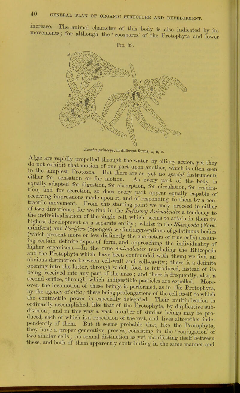 increase. The animal character of this body is also indicated bv its movements: for although the ' zoospores' of the Proto^Syta and lowt Fig. 33. AnuBba pnncepg, in different forms, a, b, c. Algje are rapidly propelled through the water by cUiary action vet thev do not exhxbxt that motion of one part upon another, wHch s £ S in the simplest Protozoa. But there are as yet no special iustrlent^ either for sensation or for motion. As every part of the bX is 7:: i:tt^ ^r digestion ^r absolution, for'^ci'rculation, for re^ii tion, and for secretion, so does every part appear equally capable of receiving impressions made upon it, and of respiting to them by a con o?tto'drT% ^--/^i-^f-ti-g-pointwe may proceed ij either tbp Zw 1 ' 71^^ Infusory Anr,nalcules a tendency to the mdividuahsation of the single cell, which seems to attain in them its highest development as a separate entity; whilst in theMhizopoda (Fora- mmifera) and Por*/.m (Sponges) we find aggregations of gelatinous bodies (which present more or less distinctly the characters of true ceHs) assirni- ing certain definite types of form, and approaching the individualitv of higher organisms.—In the true Animalcules (excluding the Rhizopods and the Protophyta which have been confounded with them) we find an obvious distinction between cell-wall and cell-cavity; there is a definite opening into the latter, through which food is introduced, instead of its being received into any part of the mass; and there is frequently, also a second orifice, through which indigestible particles are expelled. More- over, the locomotion of these beings is performed, as in the Protophyta by the agency of cilia; these being iDrolongations of the cell itself, to which the- contractile power is especiaUy delegated. Theii- multipHcation is ordinarUy accomplished, like that of the Protophyta, by dupHcative sub- division; and in this way a vast number of similar beings may be pro- duced, each of which is a repetition of the rest, and lives altogether inde- pendently of them. But it seems probable that, like the Protophyta, they have a proper generative process, consisting in the ' conjugation' of two similar cells; no sexual distinction as yet manifesting itself between these, and both of them apparently contributing in the same manner and