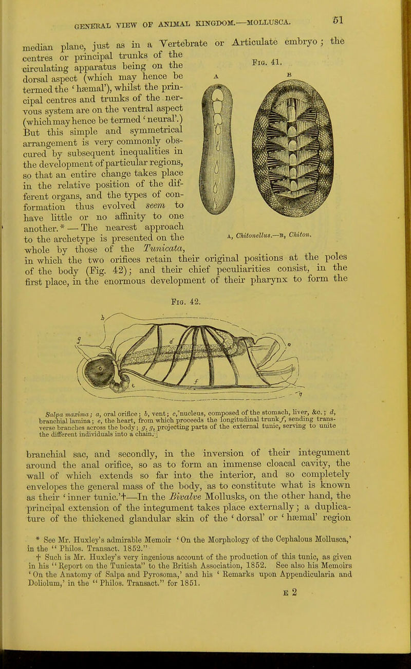 61 Fig. 41. median plane, just as in a Vertebrate or Articulate embryo; the centres or principal trunks of the circulating apparatus being on tbe dorsal aspect (which may hence be termed the ' haemal'), wMlst the prin- cipal centres and trunks of the ner- vous system are on the ventral aspect (whichmayhence be termed 'neural'.) But this simple and symmetrical ai-rangement is very commonly obs- cured by subsequent inequalities in the development of particular regions, so that an entire change takes place in the relative position of the dif- ferent organs, and the types of con- formation thus evolved seem to have little or no aflfinity to one another.* — The nearest approach to the archetype is presented on the whole by those of the Tunicata, in which the two orifices retain their original positions at the poles of the body (Fig. 42); and their chief peciiliarities consist, in the first place, in the enormous development of their pharynx to form the Fig. 42. A, Chitonellus.—B, Chiton. - 1 Salpa maxima; a, oral orifice; J, vent; c,'nucleuB, composed of the stomach, liver, &c.; d, branchial lamina; e, the heart, from which proeeeda the longitudinal trunk/, sending trans- verse branches across the body; g, g, projecting parts of the external tunic, serving to umte the different individuals into a chain, j branchial sac, and secondly, in the inversion of their integument around the anal orifice, so as to form an immense cloacal cavity, the wall of which extends so far into the interior, and so completely envelopes the general mass of the body, as to constitute what is known as their ' inner tunic.'t—^In the Bivalve Mollusks, on the other hand, the principal extension of the integument takes place externally; a dxiplica- ture of the thickened glandular skin of the ' dorsal' or ' haemal' region * See Mr. Huxley's admirable Memoir ' On the Morphology of the Cephalous MoUusca,' in the  Philos. Transact. 1852. t Such is Mr. Huxley's very ingenious account of the production of this tunic, as given in his  B.eport on the Tunicata to the British Association, 1852. See also his Memou's ' On the Anatomy of Salpa and Pyroaoma,' and his ' Remarks upon Appendicularia and Doliolum,' in the  Philos. Transact. for 1851. E 2