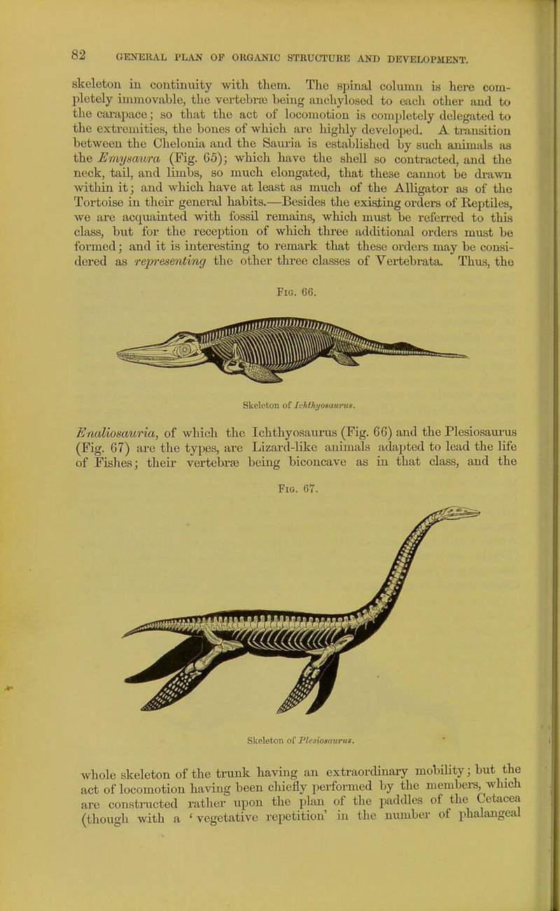 skeleton in continuity witli tliem. The spinal column is here com- pletely immovable, the vertebraj being anchylosed to each other and to the carapace; so that the act of locomotion is completely delegated to the extremities, the bones of which are highly developed, A tiunsition between the Chelouia and the Sauria is established by such animals as the Emysaura (Fig. 65); which have the shell so contracted, and the neck, tail, and limbs, so much elongated, that these cannot be draAvn within it; and which have at least as much of the Alligator as of tlie Tortoise in their general habits.—Besides the existing orders of Reptiles, we are acquainted with fossU remains, which must be referred to this class, but for the reception of which three additional orders must be formed; and it is interesting to remark that these orders may be consi- dered as representing the other three classes of Vertebrata. Thus, the Fig. 66. Skeleton ol' Ichihi/osaurus. Enaliosauria, of which the Ichthyosaurus (Fig. 66) and the Plesiosam-us (Fig. G7) are the types, are Lizard-like animals adajited to lead the life of Fishes; their vertebrae being biconcave as iu that class, and the Fig. 67. Skeleton ol' Flesiosaurus. whole skeleton of the trunk having an extraordinary mobility; but the act of locomotion having been cliiefly performed by the members, which are constnicted rather upon the plan of the paddles of the Cetacea (though with a 'vegetative repetition' in the number of phalangeal