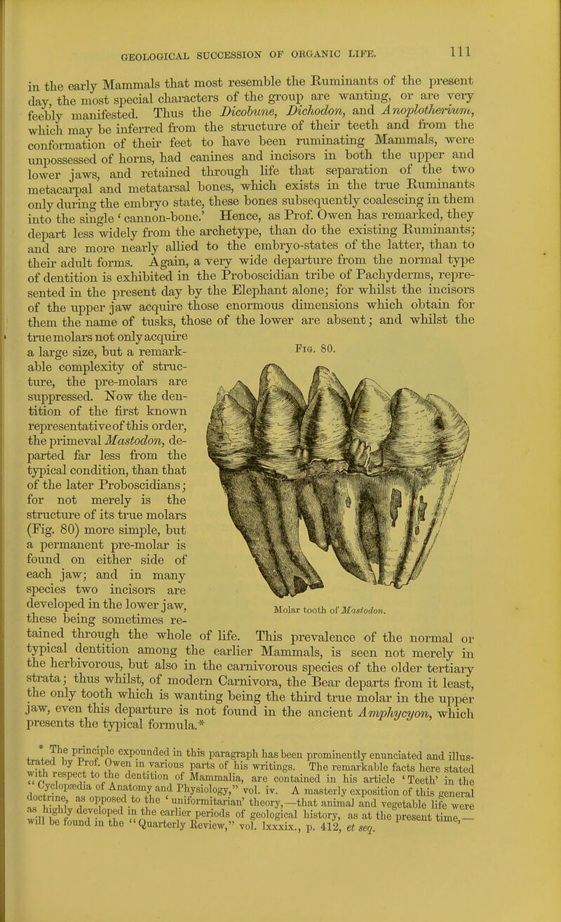 in the early Mammals that most resemble the Kuminants of the present clay the most special characters of the group are wanting, or are veiy feebly manifested. Thus the Dicobwne, Dichodon, and Anoplotlienum, which may be inferred ft'om the structure of their teeth and from the conformation of theii^ feet to have been ruminating Mammals, were impossessed of horns, had canines and incisors in both the upper and lower jaws, and retained through life that separation of the two metacai-pal and metatarsal bones, which exists in the true Buminants only during the embryo state, these bones subsequently coalescing in them into the single ' cannon-bone.' Hence, as Prof Owen has remarked, they depart less widely from the archetype, than do the existing Euminants; and are more nearly allied to the embryo-states of the latter, than to theii- adxilt forms. Again, a very wide departure from the normal type of dentition is exhibited in the Proboscidian tribe of Pachyderms, repre- sented in the present day by the Elephant alone; for whilst the incisors of the upper jaw acquire those enormous dimensions which obtain for them the name of tusks, those of the lower are absent; and whilst the true molars not only acquire a large size, but a remark- F^^- St- able complexity of struc- ture, the pre-molars are suppressed, N'ow the den- tition of the first known representative of this order, the primeval Mastodon, de- parted far less from the typical condition, than that of the later Proboscidians; for not merely is the structure of its true molars (Pig. 80) more simple, but a permanent pre-molar is found on either side of each jaw; and in many species two incisors are developed in the lower jaw, these being sometimes re- tained through the whole of life. This prevalence of the normal or typical dentition among the earlier Mammals, is seen not merely in the herbivorous, but also in the carnivorous species of the older tertiaiy strata; thus whilst, of modem Carnivora, the Bear departs from it least, the only tooth which is wanting being the third trae molar in the upper jaw, even this departure is not found in the ancient Amphycyon, which presents the typical formula.* * 'y^'f P^'l^Plf expounded in this paragraph has been prominently enunciated and Olus- trated by Frot. Owen m various parts of his writings. The remarkable facts here stated with re.spect to the dentition of Mammalia, are contained in his article 'Teeth' in the Cyclopaedia of Anatomy and Physiology, vol. iv. A masterly exposition of this general doctrine as opposed to the ' uniformitarian' theory,-that animal and vegetable life were as highly developed in the earlier periods of geological history, as at the present timl - wUl be found in the  Quarteriy Review, vol. IxZxbc., p. 412 et seq ^ ' Molar tooth oi' Mastodon.
