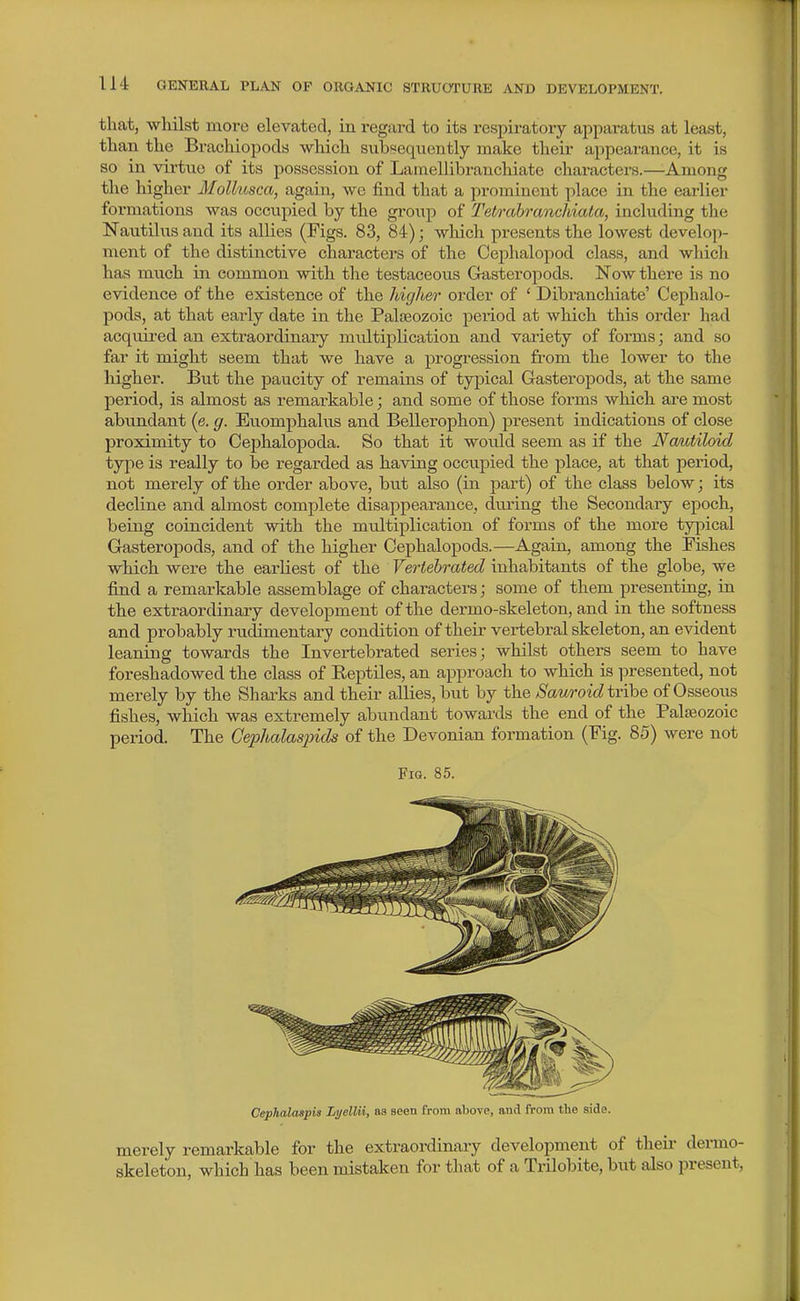 that, whilst more elevated, in regard to its respiratory apparatus at least, than the Brachiopods which subsequently make their appearance, it is so in virtue of its possession of Lamellibranchiate characters.—Among the higher MoUusca, again, we find that a prominent place in the earlier formations was occupied by the group of Tetrahranchiata, including the Nautilus and its allies (Figs. 83, 84); wliich presents the lowest develop- ment of the distinctive characters of the Cephalopod class, and which has much in common with the testaceous Gasteropods. Now there is no evidence of the existence of the higher order of ' Dibranchiate' Cephalo- pods, at that early date in the Paljeozoic period at which this order had acquired an extraordinary multiplication and variety of forms; and so far it might seem that we have a progression from the lower to the higher. But the paucity of remains of typical Gasteropods, at the same period, is almost as remarkable; and some of those forms which are most abundant (e. g. Euomphalus and Bellerophon) present indications of close proximity to Cephalopoda. So that it would seem as if the Ncmtiloid type is really to be regarded as having occupied the place, at that period, not merely of the order above, but also (in part) of the class below; its decline and almost complete disappearance, duiing the Secondary epoch, being coincident with the multiplication of forms of the more typical Gasteropods, and of the higher Cephalopods.—Again, among the Fishes which were the earliest of the Vertebrated inhabitants of the globe, we find a remarkable assemblage of characters; some of them presenting, hi the extraordinary development of the dermo-skeleton, and in the softness and probably rudimentary condition of their vertebral skeleton, an evident leaning towards the In vertebrated series; whilst others seem to have foreshadowed the class of Eeptiles, an approach to which is presented, not merely by the Sharks and their allies, but by the Sauroid tvSho of Osseous fishes, which was extremely abundant towards the end of the Palaeozoic period. The Gephalasinds of the Devonian formation (Fig. 85) were not Fia. 85. Cephalaspis Lyellii, as seen from above, and from the side. merely remarkable for the extraordinary development of theii- denno- skeleton, which has been mistaken for that of a Trilobite, but also present.