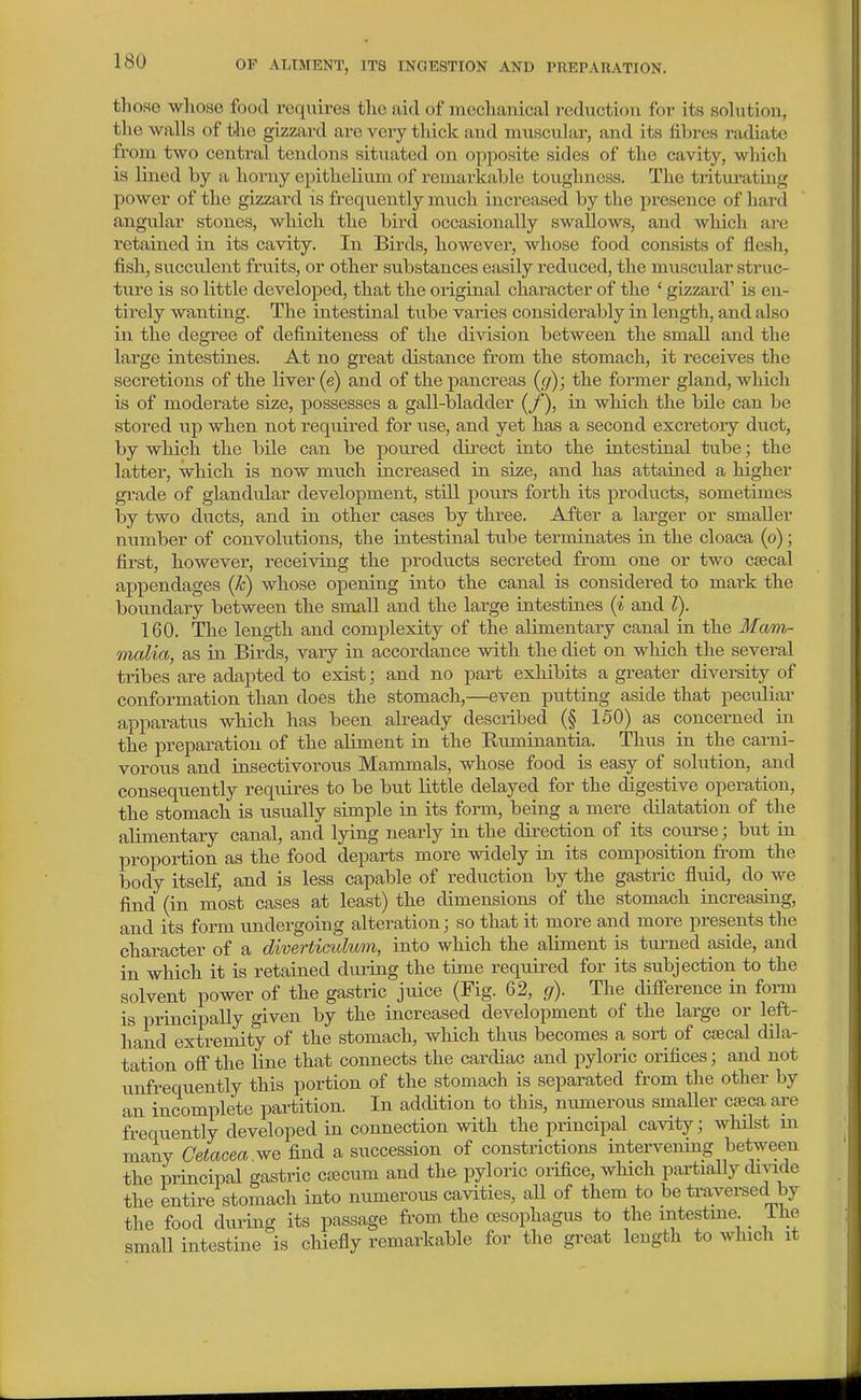 those whose food requires tlie aid of racchanical reduction for its solution, the walls of t-he gizzard are very thick and muscular, and its fibres radiate fi'om two central tendons situated on opposite sides of the cavity, wluch is lined by a horny epithelium of remarkable toughness. The tritm-atiug power of the gizzard is frequently much increased by the presence of hard angular stones, which the bird occasionally swallows, and which are retained in its cavity. In Birds, however, whose food consists of flesh, fish, succulent fruits, or other substances easily reduced, the muscular struc- ture is so little developed, that the original character of the ' gizzard' is en- tirely wanting. The intestinal tube varies considerably in length, and also in the degree of definiteness of the division between the small and the large intestines. At no great distance from the stomach, it receives the secretions of the liver (e) and of the pancreas (cj); the former gland, which is of moderate size, possesses a gall-bladder (_/), in which the bile can be stored up when not required for use, and yet has a second excretory duct, by wbich the bile can be poured direct into the intestiual tube; the latter, which, is now much, increased in size, and has attained a higher grade of glandular development, still ponrs forth its products, sometimes by two ducts, and in other cases by three. After a larger or smaller number of convolutions, the intestinal tube terminates in the cloaca (o); first, however, receiving the products secreted from one or two csecal appendages {k) whose opening into the canal is considered to mark the boundary between the small and tbe large intestiues {% and I). 160. The length and complexity of the alimentary canal ia th.e Mam- Qnalia, as in Birds, vaiy in accordance with the diet on which the several tribes are adapted to exist; and no part exhibits a greater diversity of conformation than does the stomach,—even putting aside that peculiar apparatus whicb has been already described (§ 150) as concerned in the preparation of the aliment in the Ruminantia. Thus in the carni- vorous and insectivorous Mammals, whose food is easy of solution, and consequently requires to be but little delayed for the digestive operation, the stomach is usually simple in its form, being a mere dilatation of the alimentary canal, and lying nearly in the direction of its course; but in proportion as the food departs more widely in its composition from the body itself, and is less capable of reduction by the gastric fluid, do we find (in most cases at least) the dimensions of the stomach increasing, and its form undergoing alteration; so that it more and more presents the character of a diverticulum, into which the aliment is turned aside, and in which it is retained during the time required for its subjection to the solvent power of the gastric juice (Fig. 62, g). The difi-erence in form is principally given by the increased development of the large or left- hand extremity of the stomach, which thus becomes a sort of csecal dila- tation oflT the line that connects the cardiac and pyloric orifices; and not unfrequently this portion of the stomach is separated from the other by an incomplete partition. In addition to this, numerous smaller C£eca are frequently developed in connection with the principal cavity; whilst in many Getacea we find a succession of constrictions intervening between the principal gastric cajcum and the pyloric oiifice, which partially chvide the entire stomach into numerous cavities, aU of them to be traversed by the food during its passage from the cesophagus to the intestine _ ihe small intestine is chiefly remarkable for tlie great length to wluch it