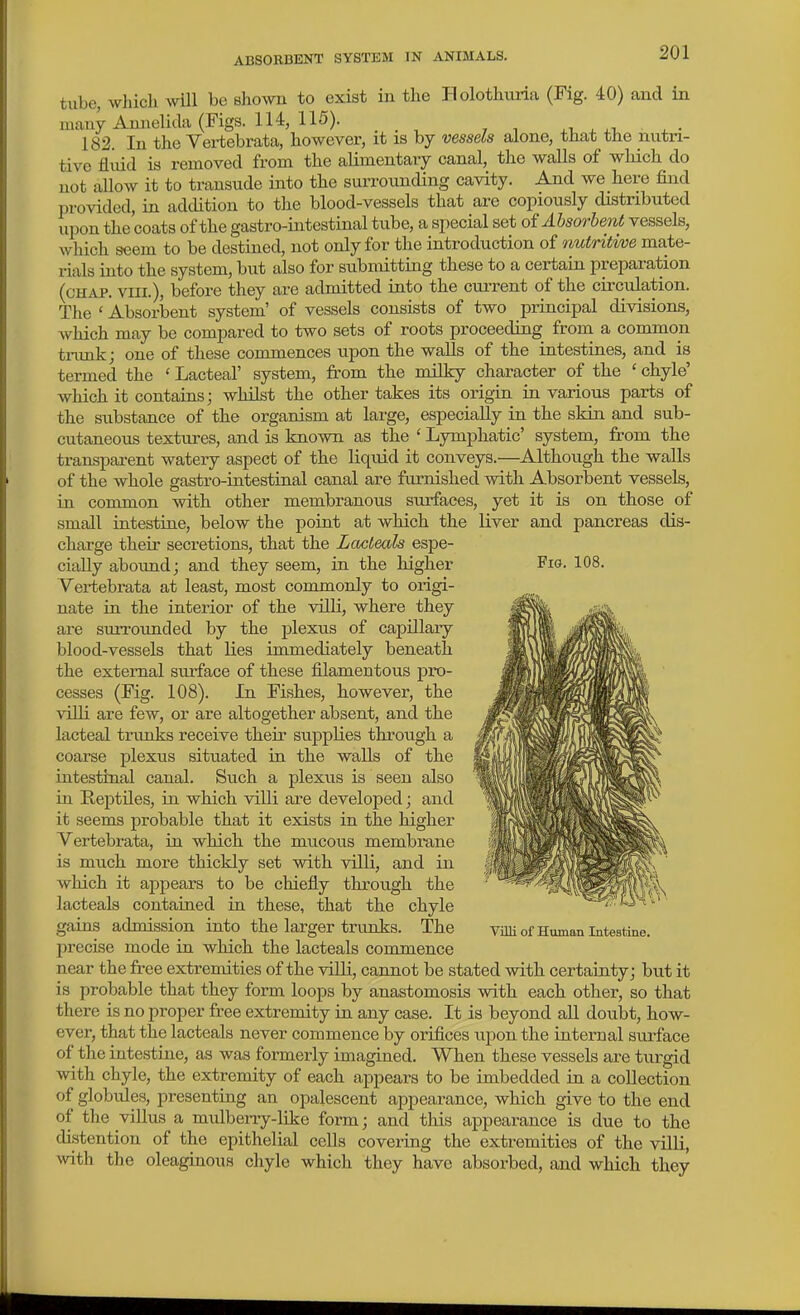 Fio. 108. tube, which will be shown to exist in the Holothuria (Fig. 40) and in many Annelida (Figs. 114, 115). xi, x ^-u x • 182. In the Vei-tebrata, however, it is by vessels alone, that the nutri- tive fluid is removed from the alimentary canal, the walls of wliich do not allow it to transude into the surrounding cavity. And we here find provided, in addition to the blood-vessels that are copiously distributed upon the coats of the gastro-intestinal tube, a special set oi Absorbent vessels, which seem to be destined, not only for the introduction of nutritive mate- rials into the system, but also for submitting these to a certain preparation (chap. VIII.), before they are admitted into the current of the circulation. The ' Absorbent system' of vessels consists of two principal divisions, Avhich may be compared to two sets of roots proceeding from a common tnink; one of these commences upon the walls of the intestines, and is termed the ' Lacteal' system, from the milky character of the ' chyle' which it contains; whilst the other takes its origin in various parts of the substance of the organism at large, especially in the skin and sub- cutaneous textures, and is known as the ' Lymphatic' system, from the transparent watery aspect of the liquid it conveys.—Although the walls of the whole gastro-intestinal canal are furnished with Absorbent vessels, in common with other membranous surfaces, yet it is on those of small intestine, below the point at which the liver and pancreas dis- charge their secretions, that the Lacteals espe- cially abound; and they seem, in the higher Vertebrata at least, most commonly to origi- nate in the interior of the villi, where they are siuTounded by the plexus of capillary blood-vessels that lies immediately beneath the external smiace of these filamentous pro- cesses (Fig. 108). In Fishes, however, the villi are few, or are altogether absent, and the lacteal trunks receive their supplies through a coarse plexus situated in the walls of the intestinal canal. Such a plexus is seen also in ReptUes, in which villi are developed; and it seems probable that it exists in the higher Vertebrata, in which the mucous membi-ane is much more thickly set with villi, and in which it appears to be chiefly through, the lacteals contained in these, that the chyle gains admission into the larger trunks. The precise mode in which the lacteals commence near the free extremities of the villi, cannot be stated with certainty; but it is probable that they form loops by anastomosis with each other, so that there is no proper free extremity in any case. It is beyond all doubt, how- ever, that the lacteals never commence by orifices upon the internal surface of the intestine, as was formerly imagined. When these vessels are turgid with chyle, the extremity of each appears to be imbedded in a collection of globules, presenting an opalescent appearance, which give to the end of the villus a mulberry-like form; and this appearance is due to the distention of the epithelial cells covering the extremities of the villi, ^vith the oleaginous chyle which they have absorbed, and which they Villi of Human Intestine.