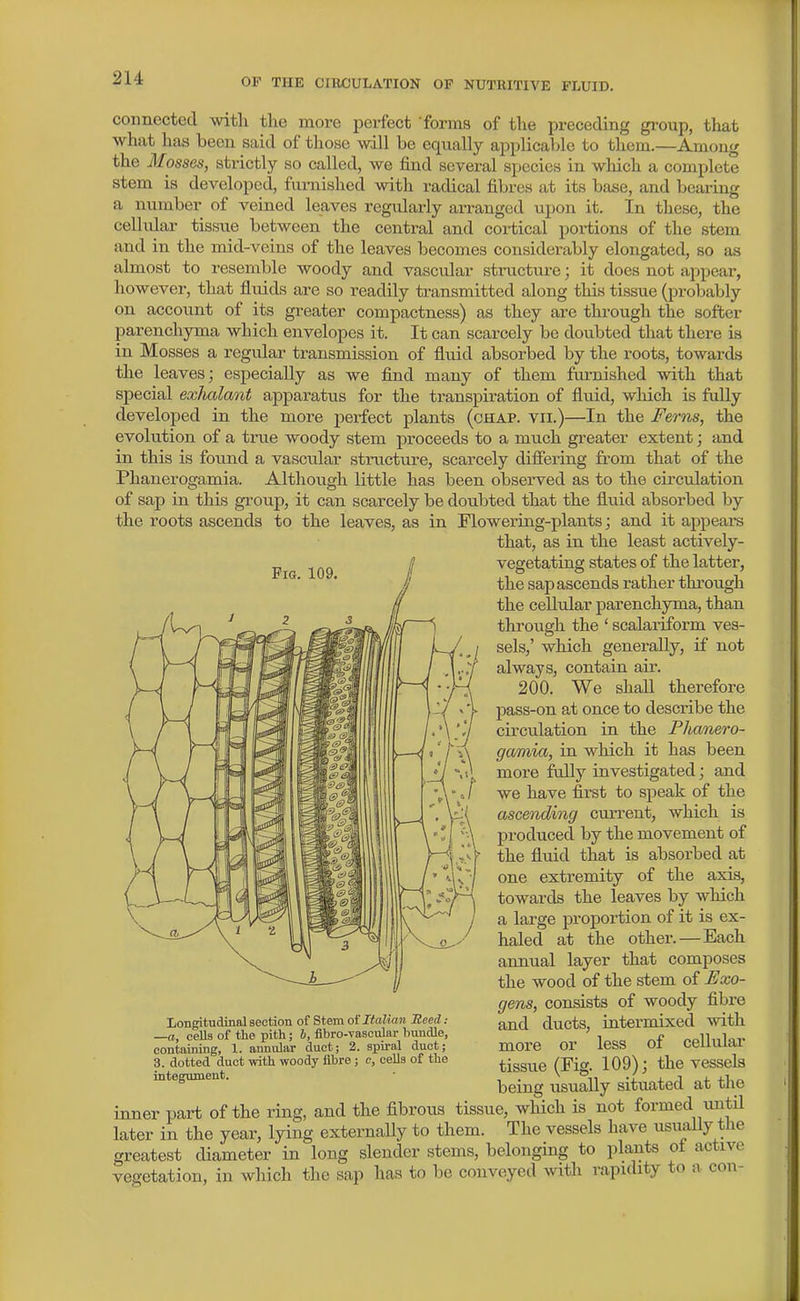 connected witli the more perfect forms of the preceding group, that what has been said of those will be equally applicable to them.—Among the Mosses, strictly so called, we find several species in which a complete stem is developed, furnished with radical fibres at its base, and bearing a number of veined leaves regularly arranged upon it. In these, the cellular tissue between the central and cortical portions of the stem and in the mid-veins of the leaves becomes considerably elongated, so as almost to resemble woody and vascular structure; it does not appear, however, that fluids are so readily transmitted along this tissue (probably on accovmt of its greater compactness) as they are through the softer parenchyma which envelopes it. It can scarcely be doubted that there is in Mosses a regular transmission of fluid absorbed by the roots, towards the leaves; especially as we find many of them furnished with that special exiudant apparatus for the transpiration of fluid, which is ftdly developed in the more perfect plants (chap, vii.)—In the Ferns, the evolution of a true woody stem proceeds to a much greater extent; and in this is found a vascular structure, scarcely diSering from that of the Phanerogamia. Although little has been observed as to the circulation of sap in this group, it can scarcely be doubted that the fluid absorbed by the roots ascends to the leaves, as in Flowering-plants; and it appears that, as in the least actively- vegetating states of the latter, the sap ascends rather thiwgh the cellular parenchyma, than through the ' scalariform ves- sels,' which generally, if not always, contain air. 200. We shall therefore pass-on at once to describe the circulation in the Phanero- gamia, in which it has been more fully investigated; and we have first to speak of the ascending current, which is produced by the movement of the fluid that is absorbed at one extremity of the axis, towards the leaves by which a large proportion of it is ex- haled at the other. — Each annual layer that composes the wood of the stem of Exo- gens, consists of woody fibre and ducts, intermixed with more or less of cellular tissue (Fig. 109); the vessels being usually situated at the inner part of the ring, and the fibrous tissue, which is not formed untU later in the year, lying externaUy to them. The vessels have usually the greatest diameter in long slender stems, belonging to plants oi active longitudinal section of Stem of Italian Meed : —a, cells of the pith; b, fibro-vascular bundle, containing, 1. annular duct; 2. spiral duct; 3. dotted duct with woody fibre ; e, cells of the integument. vegetation, in which the sap has to be conveyed Avith rapidity to a con-