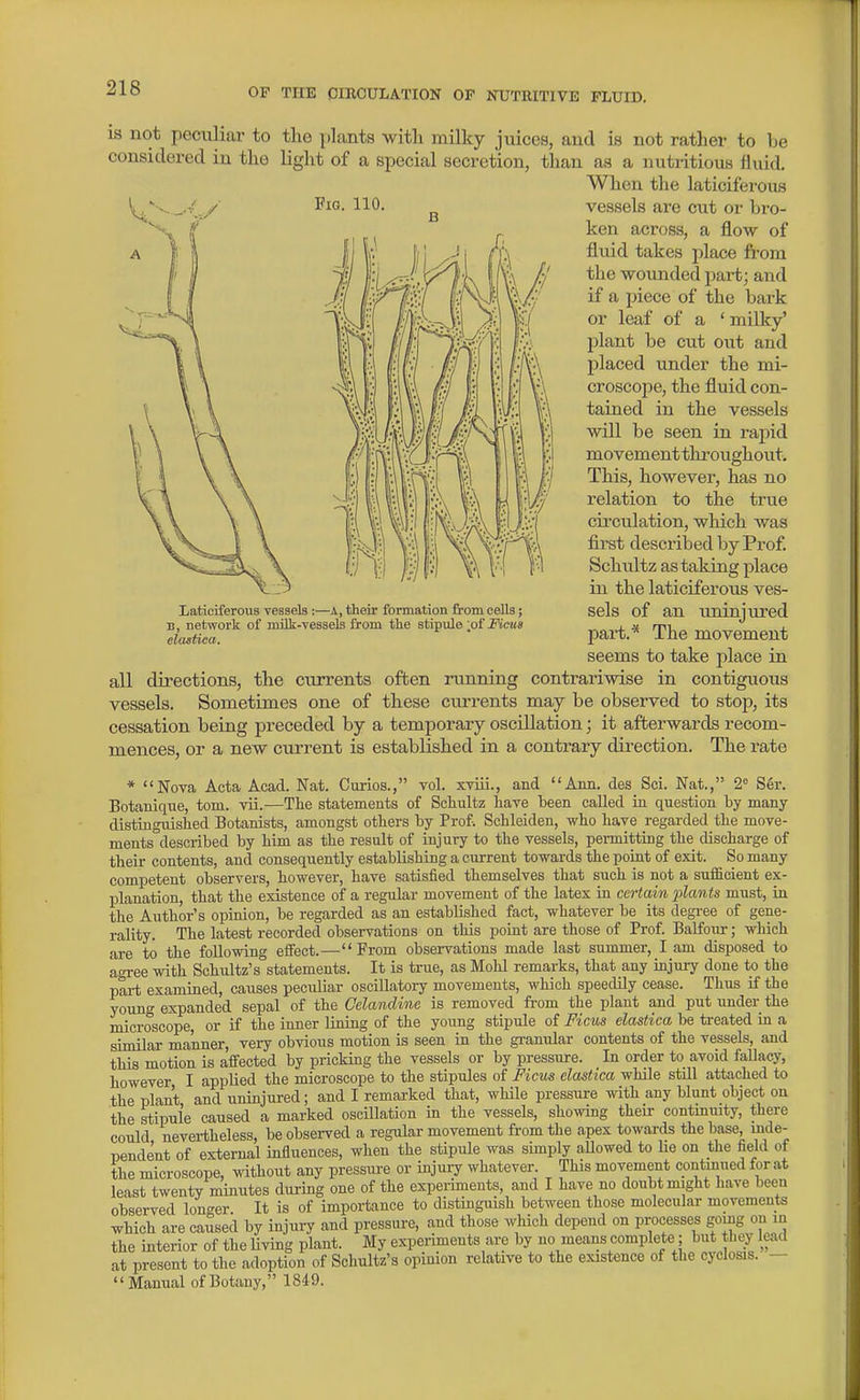 Laticiferous vessels:—a, their formation from cells; B, network of milk-vessels from the stipule ^ofi'licMS elastica. is not peciiliar to the plants witli milky juices, and is not rather to be considered in the light of a special secretion, than as a nutritious fluid. When the laticiferous Fig. 110. ^ vessels are cut or bro- ken across, a flow of fluid takes place from the wounded part; and if a piece of the bark or leaf of a ' milky' plant be cut out and placed under the mi- croscope, the fluid con- tained in the vessels will be seen in raj)id movement throughout. This, however, has no relation to the true circulation, which was first described by Prof. Schultz as taking place in the laticifero\is ves- sels of an uninjured part.' The movement seems to take place in all directions, the currents often running contrariwise in contiguous vessels. Sometimes one of these currents may be observed to stop, its cessation being preceded by a temporary oscillation; it afterwards recom- mences, or a new current is established in a contrary direction. The rate * Nova Acta Acad. Nat. Curios., vol. xviii., and Ann. des Sci. Nat., 2 Ser. Botaniqne, torn. vii.—The statements of Schultz have been called in question by many distinguished Botanists, amongst others by Prof. Schleiden, who have regarded the move- ments described by him as the result of injury to the vessels, pennitting the discharge of their contents, and consequently establishing a current towards the point of exit. So many competent observers, however, have satisfied themselves that such is not a suificient ex- planation, that the existence of a regular movement of the latex in certain plants must, in the Author's opinion, be regarded as an established fact, whatever be its degree of gene- rality. The latest recorded observations on this point are those of Prof. Balfour; which are to the following effect.—From observations made last summer, I am disposed to agree with Schultz's statements. It is true, as Mohl remarks, that any injury done to the part examined, causes peculiar oscillatory movements, which speedily cease. Thus if the young expanded sepal of the Celandine is removed from the plant and put under the microscope, or if the inner lining of the young stipule of Ficus elastica be treated in a similar manner, very obvious motion is seen in the gi-anular contents of the vessels, and this motion is affected by pricking the vessels or by pressure. In order to avoid faUacy, however I applied the microscope to the stipules of Ficus elastica while still attached to the plant and uninjured; and I remarked that, while pressure with any blunt object on the stipule caused a marked oscillation in the vessels, showing their continuity, there could nevertheless, be obsei-ved a regular movement from the apex towards the base, mde- pendent of external influences, when the stipule was simply aUowed to lie on the field of the microscope, without any pressui-e or injury whatever. This movement continued for at least twenty minutes during one of the experiments, and I have no doubt might have been observed longer It is of importance to distinguish between those molecular movements which are caused by injury and pressure, and those which depend on processes going on in the interior of the Uving plant. My experiments are by no means complete; but they lead at present to the adoption of Schultz's opinion relative to the existence of the cyclosis. — Manual of Botany, 1849.