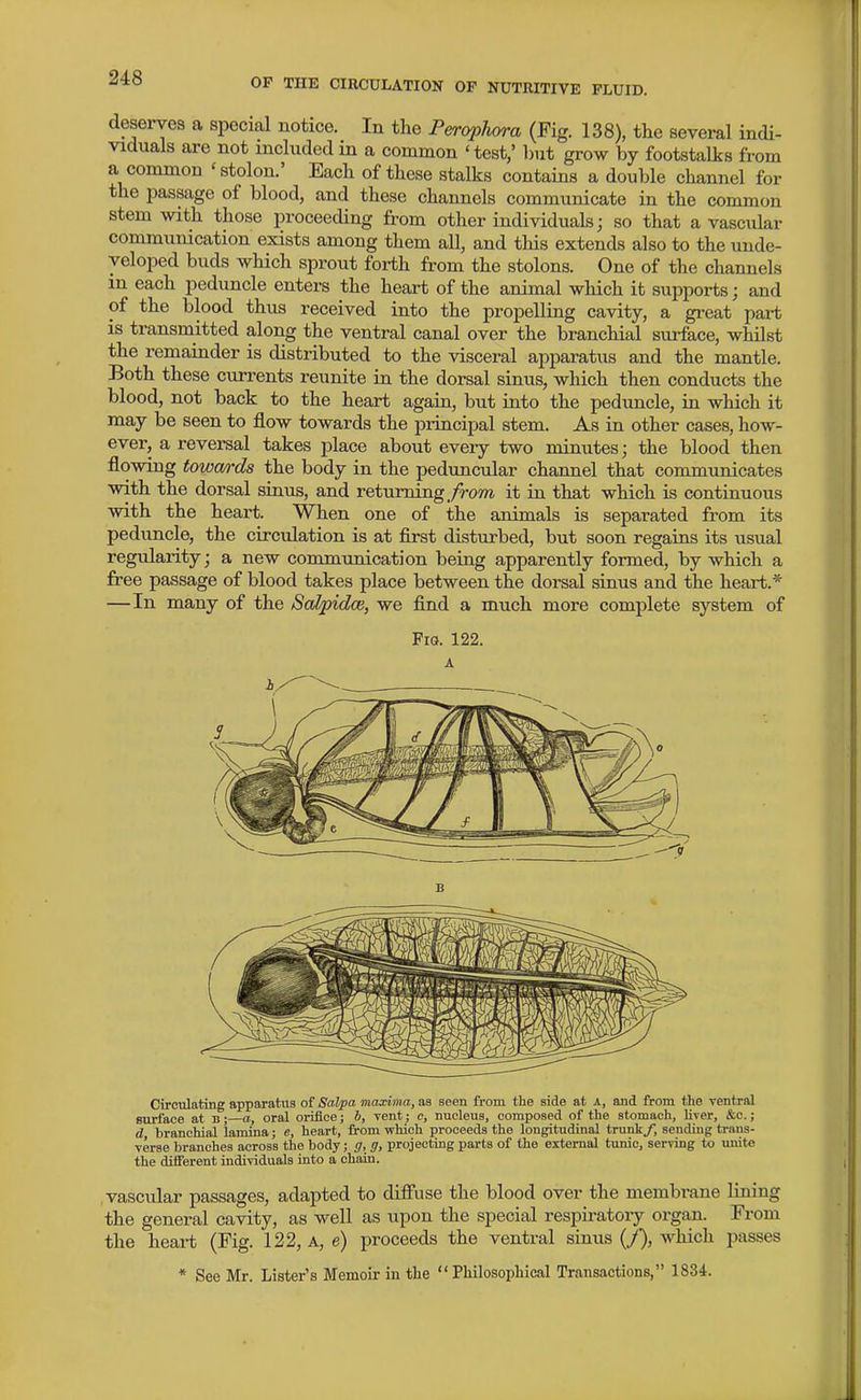 deserves a special notice. In the Peropliora (Fig. 138), the several indi- viduals are not included in a common 'test,' but grow by footstalks from a common 'stolon.' Each of these stalks contains a double channel for the passage of blood, and these channels communicate in the common stem with those proceeding from other individuals; so that avascular communication exists among them all, and this extends also to the unde- veloped buds which sprout forth from the stolons. One of the channels m each peduncle enters the heart of the animal which it supports; and of the blood thus received into the propelling cavity, a great part is transmitted along the ventral canal over the branchial surface, whilst the remainder is distributed to the visceral apparatus and the mantle. Both these currents reunite in the dorsal sinus, wliich then conducts the blood, not back to the heart again, but into the peduncle, in which it may be seen to flow towards the principal stem. As in other cases, how- ever, a reversal takes place about every two minutes; the blood then flowing towa/rds the body in the peduncular channel that communicates with the dorsal sinus, and returning ./rom it in that which is continuous with the heart. When one of the animals is separated from its peduncle, the circulation is at first disturbed, but soon regains its usual regularity; a new communication being apparently formed, by which a free passage of blood takes place between the dorsal sinus and the heart.* —In many of the Salpidoe, we find a much more complete system of Fia. 122. A Circulating apparatus of SaVpa maxima, as seen from the side at a, and from the ventral surface at b;—a, oral oriiiee; h, vent ; c, nucleus, composed of the stomach, liver, &e. ; d branchial lamina; e, heart, from which proceeds the longitudinal trunk/, sending trans- verse branches across the body; g, g, projecting parts of the external tunic, serving to unite the different individuals into a chain. .vascular passages, adapted to difi'use the blood over the membrane lining the general cavity, as well as upon the special respiratory organ. From the heart (Fig. 122, A, e) proceeds the ventral sinus (y), which passes * See Mr. Lister's Memoir in the  Philosophical Transactions, 1834.