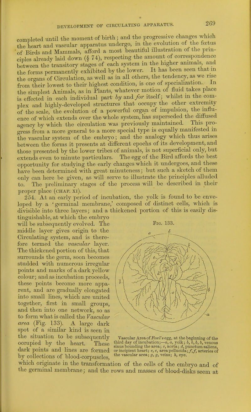 completed until the moment of birth; and the progressive changes which the heai-t and vascular apparatus undergo, in the evolution of the foetus of Birds and Mammals, afford a most beautiful illustration of the prin- ciples already laid down (§ 74), respecting the amount of correspondence between the transitory stages of each system in the higher animals and the forms permanently exhibited by the lower. It has been seen that m the orcrans of Circulation, as well as in all others, the tendency, as we rise fi-om their lowest to their highest condition, is one of specialization, in the simplest Animals, as in Plants, whatever motion of fluid takes place is effected in each individual part hy and/or itself; wHlst m the com- plex and highly-developed structm-es that occupy the other extremity of the scale, the evolution of a powerful orga,n of impulsion, the influ- ence of which extends over the whole system, has superseded the diffused agency by which the circulation was previously maintained. This pro- gress from a more general to a more special type is equally manifested in the vascular system of the embryo; and the analogy which thus arises between the forms it presents at different epochs of its development, and those presented by the lower tribes of animals, is not superficial only, but extends even to minute particulars. The egg of the Bird affords the best opportunity for studying the early changes which it undergoes, and these have been determined with great minuteness; but such a sketch of them only can here be given, as will serve to illustrate the principles alluded to. The preliminary stages of the process will be described in their proper place (chap. xi). 254. At an early period of incubation, the yolk is found to be enve- loped by a ' germinal membrane,' composed of distinct cells, which is divisible into three layers; and a thickened portion of this is easily dis- tinguishable, at which the embryo will be subsequently evolved. The middle layer gives origin to the Circulating system, and is there- fore termed the vascular layer. The thickened portion of this, that surrounds the germ, soon becomes studded with numerous irregular points and marks of a dark yellow colour; and as incubation proceeds, these points become more appa- rent, and are gradually elongated into small lines, which are united together, first in small groups, and then into one network, so as to form what is called the Vascular mea (Fig. 133). A large dark spot of a similar kind is seen in the situation to be subsequently occupied by the heart. These dark points and lines are formed by collections of blood-corpuscles, which originate in the transformation of the cells of the embryo and of the germinal membrane; and the rows and masses of blood-disks seem at Vascular Areaof JForoZ's egg, at the beginning of the third day of incubation;—a, a, yolk; b,b, b, b, venous sinus bounding the area; c, aorta; d, punctum saliens, or incipient heart; e, e, areapellucida;y,y', arteries of the vascular area; g, g, veins; h, eye.