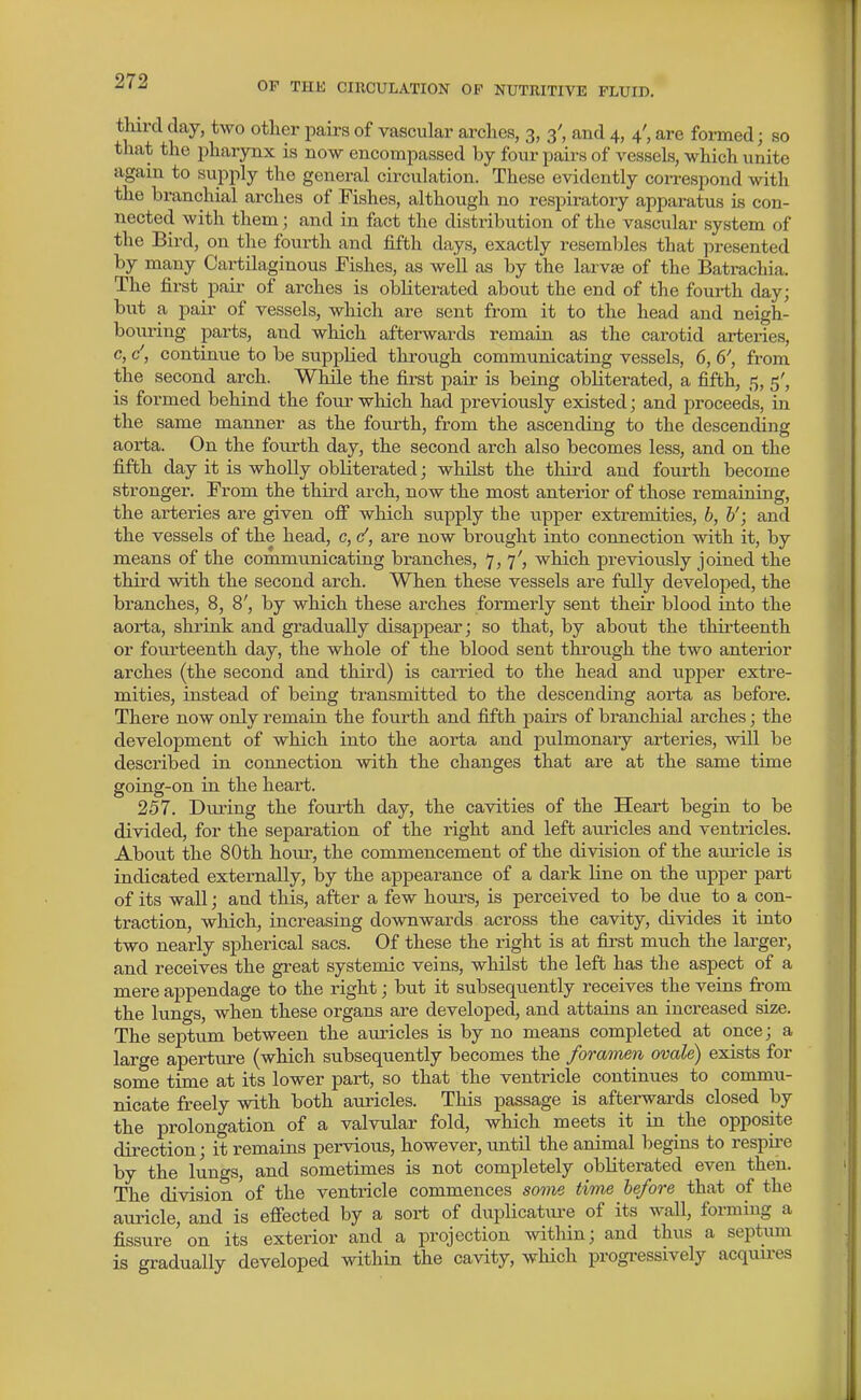 third day, two other pairs of vascular arches, 3, 3', and 4, 4', are formed; so that the pharynx is now encompassed by four pairs of vessels, which unite again to supply the general circulation. These evidently correspond with the branchial arches of Fishes, although no respiratory apparatus is con- nected with them; and in fact the distribution of the vascular system of the Bird, on the fourth and fifth days, exactly resembles that presented by many Cartilaginous Fishes, as well as by the larvse of the Batrachia. The first pair of arches is obliterated about the end of the fourth day but a pair of vessels, which are sent from it to the head and neigh- bouring parts, and which afterwards remain as the carotid arteries, c, c', continue to be supplied through communicating vessels, 6, 6', from the second arch. While the first pair is being obliterated, a fifth, 5, 5', is formed behind the foiu-which had previously existed; and proceeds, in the same manner as the fourth, from the ascending to the descending aorta. On the fourth day, the second arch also becomes less, and on the fifth day it is wholly obliterated; whilst the third and fourth become stronger. From the third arch, now the most anterior of those remaining, the arteries are given ofi which supply the xipper extremities, b, V; and the vessels of the head, c, are now brought into connection with it, by means of the communicating branches, 7, 7', which previously joined the third with the second arch. When these vessels are fully developed, the branches, 8, 8', by which these arches formerly sent their blood into the aorta, shrink and gradually disappear; so that, by about the thirteenth or foiu'teenth day, the whole of the blood sent through the two anterior arches (the second and third) is carried to the head and upper extre- mities, instead of being transmitted to the descending aorta as before. Thei-e now only remain the fourth and fifth pairs of branchial arches; the development of which into the aorta and pulmonary arteries, will be described in connection with the changes that are at the same time going-on in the heart. 257. During the fourth day, the cavities of the Heart begin to be divided, for the separation of the right and left auricles and ventricles. About the 80th hour, the commencement of the division of the auricle is indicated externally, by the appearance of a dark line on the upper part of its wall; and this, after a few hours, is perceived to be due to a con- traction, which, increasing downwards across the cavity, divides it into two nearly spherical sacs. Of these the right is at first much the larger, and receives the great systemic veins, whilst the left has the aspect of a mere appendage to the right; but it subsequently receives the veins from the lungs, when these organs are developed, and attains an increased size. The septum between the auricles is by no means completed at once; a large aperture (which subsequently becomes the formmn ovale) exists for some time at its lower part, so that the ventricle continues to commxi- nicate freely with both aui'icles. This passage is afterwards closed by the prolongation of a valvular fold, which meets it in the opposite direction; it remains pervious, however, until the ammal begins to respii-e by the lungs, and sometimes is not completely obliterated even then. The division of the ventricle commences some time before that of the auricle, and is efiected by a soi-t of duplicatiu^e of its wall, forming a fissure'on its exterior and a projection within; and thus a septum is gradually developed within the cavity, which progi-essively acquires