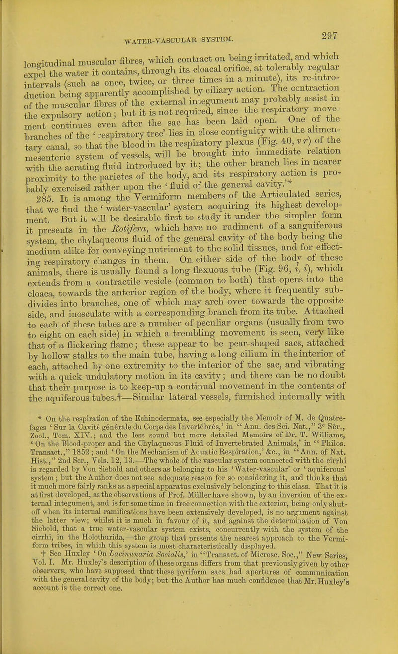 loB-itudinal muscular fibres, winch contract on being irritated and wHch eS the water it contains, through its cloacal orifice, at tolerably regular ii'fetals (such as once, twice, or three times m a minute), its re-mtro- luct^n being apparently accomplished by ciliary action. The contraction o> he muLilar fibres of the external integument may probably assist m Jhe exSory action; but it is not required, since the respiratory move- ment continues even after the sac has been laid open. One of the Wches of the ^ respiratoiy tree' Hes in close —^^^^^^^^ taiT canal, so that the blood in the respiratory plexus (Fig. 40^ r) of the m lenteri system of vessels, will be brought into immed3.te_ rto ^th the aerating fluid introduced by it; the other branch lies in nearer proximity to the parietes of the body, and its respiratory action is pro^ bably exercised rather upon the ' fluid of the general cavity.' _ 285 It is among the Yermiform members of the Articulated series, that we find the ' water-vascular' system acquiring its highest develop- ment But it will be desirable first to study it under the simpler form it presents in the Rotiferco, which have no rudiment of a sanguiferous system, the chylaqueous fluid of the general cavity of the body bemg the medium alike for conveyrag nutriment to the solid tissues, and for efiect- ino- respiratoiy changes ia them. On either side of the body of these animals, there is usually found a long flexuous tube (Fig. 96, i, i), which extends from a contractile vesicle (common to both) that opens mto the cloaca, towards the anterior region of the body, where it frequently sub- divides into branches, one of which may arch over towards the opposite side, and inosculate with a corresponding branch from its tube. Attached to each of these tubes are a number of peculiar organs (usually from two to eight on each side) in which a trembling movement is seen, very like that of a flickering flame; these appear to be pear-shaped sacs, attached by hollow stalks to the main tube, having a long cilium in the interior of each, attached by one extremity to the interior of the sac, and vibrating with a quick undulatory motion in its cavity; and there can be no doubt that their purpose is to keep-up a contraual movement in the contents of the aquiferous tubes, t—Similar lateral vessels, furnished internally with * On the respiration of the Echinodermata, see especially the Memoir of M. de Quatre- fages ' Sur la Cavite generale du Coi-ps des Invertebres,' in Ann. des Sci. Nat., 3'= Ser., Zool., Tom. XIV.; and the less sound but more detailed Memoirs of Dr. T. Williams, ' On the Blood-proper and the Chylaqueous Fluid of Invertebrated Animals,' in  Philos. Transact., 1852; and ' On the Mechanism of Aquatic Kespiration,' &c., in Ann. of Nat. Hist., 2nd Ser., Vols. 12,13.—The whole of the vascular system connected with the cirrhi is regarded by Von Siebold and others as belonging to his 'Water-vascular' or ' aquiferous' system; but the Author does not see adequate reason for so considering it, and thinks that it much more fairly ranks as a special apparatus exclusively belonging to this class. That it is at first developed, as the observations of Prof. Miiller have shown, by an inversion of the ex- ternal integument, and is for some time in free connection with the exterior, being only shut- off when its internal ramifications have been extensively developed, is no argument against the latter view; whilst it is much in favour of it, and against the determination of Von yiebold, that a tnie water-vascular system exists, concurrently with the system of the cirrhi, in the Holothurida,—the group that presents the nearest approach to the Vermi- form tribes, in which this system is most characteristically displayed. t See Huxley ' OnLacinunaria Socialis,' in Transact, of Microsc. Soc, New Series, Vol. I. Mr. Huxley's description of these organs differs from that previously given by other observers, who have supposed that these pyriform sacs had apertures of communication with the general cavity of the body; but the Author has much confidence that Mr.Huxley'a account is the correct one.