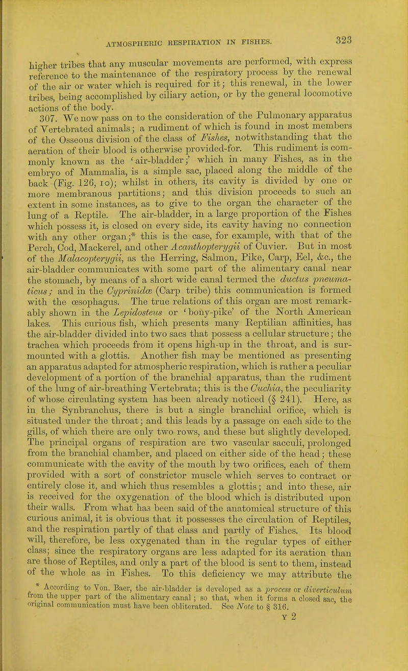 ATMOSPHERIC RESPIRATION IN FISHES. liio-her tribes tliat any muscular movements are performed, with express reference to the maintenance of the respiratory process by the renewal of the au- or water which is required for it; this renewal, in the lower tribes, being accomplished by ciliary action, or by the general locomotive actions of the body. 307. We now pass on to the consideration of the Pulmonary apparatus of Vertebrated animals; a rudiment of which is found in most members of the Osseous division of the class of Fishes, notwithstanding that the aeration of their blood is otherwise provided-for. This rudiment is com- monly knoAvn as the 'air-bladder;' which in many Fishes, as in the embryo of Mammalia, is a simple sac, placed along the middle of the back (Fig. 126, lo); whilst in others, its cavity is divided by one or more membranous partitions; and this division proceeds to such an extent in some instances, as to give to the organ the character of the lung of a Reptile. The air-bladder, in a large proportion of the Fishes which possess it, is closed on every side, its cavity having no connection with any other organ;* this is the case, for example, with that of the Perch, Cod, Mackerel, and other AcaTiihopterygii of Cuvier. But in most of the Malacopterygii, as the Herring, Salmon, Pike, Carp, Eel, &c., the au--bladder communicates with some part of the alimentary canal near the stomach, by means of a short wide canal termed the ductus jmeumor- ticus; and in the Gyprmidm (Carp tribe) this communication is formed with the oesophagus. The true relations of this organ are most remark- ably shown in the Lepidosteus or ' bony-pike' of the IsTorth American lakes. This curious fish, which presents many Reptilian affinities, has the air-bladder divided into two sacs that possess a cellular structure; the trachea which proceeds from it opens high-up in the throat, and is sur- mounted with a glottis. Another fish may be mentioned as presenting an apparatus adapted for atmosj)heric respiration, which is rather a peculiar development of a portion of the branchial apparatus, than the rudiment of the lung of air-breathing Yertebrata; this is the Cuchia, the peculiarity of whose circulating system has been already noticed (§ 241). Here, as in the Synbranchus, there is but a single brancliial orifice, which is situated under the throat; and this leads by a passage on each side to the gills, of which there are only two rows, and these but slightly developed. The principal organs of respkation are two vascular sacculi, prolonged from the branchial chamber, and placed on either side of the head; these communicate with the cavity of the mouth by two orifices, each of them provided with a sort of constrictor muscle which serves to contract or entirely close it, and which thus resembles a glottis; and into these, air is received for the oxygenation of the blood which is distributed upon their walls. From what has been said of the anatomical structure of this curious animal, it is obvious that it possesses the cii-culation of Reptiles, and the respiration partly of that class and partly of Fishes. Its blood will, therefore, be less oxygenated than in the regular types of either class; since the respiratory organs are less adapted for its aeration than are those of Reptiles, and only a part of the blood is sent to them, instead of the whole as in Fishes. To this deficiency we may attribute the * According to Von. Baer, the air-bladder is developed as a process or diverticulum from the upper part of the alimentary canal; so that, when it forms a closed sac, the original communication must have been obliterated. See Note to § 316. Y 2