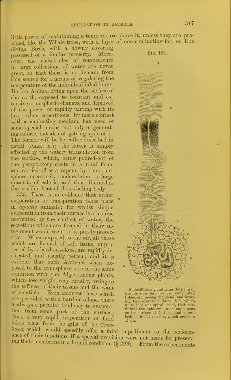 EXHALATION IN ANIMALS. Fig. 158. little power of maintaining a temperature above it, unless they are pro- vided, like the Whale tribe, with a layer of non-conducting fat, or, like diving Birds, with a downy covering possessed of a similar property. More- over, the vicissitudes of temperature in large collections of water are never great, so that there is no demand from this source for a means of regulating the tempei'ature of the individual inhabitants. But an Animal living upon the surface of the earth, exposed to constant and ex- tensive atmospheric changes, and deprived of the power of rapidly parting with its heat, when supei'fluous, by mere contact rtdth a conducting medium, has need of some special means, not only of generat- ing caloric, but also of getting quit of it. The foi'mer will be hereafter described in detail (chap, x.); the latter is simply effected by the watery transudation from the surface, which, being poured-out of the perspiratory ducts in a fluid form, and cariied-off as a vapour by the atmo- sphere, necessarily renders latent a large quantity of caloric, and thus diminishes the sensible heat of the exhaling body. 33-3. There is no evidence that either evaporation or transpiration takes place in aquatic animals j for whilst simple evaporation from their sui-face is of course prevented by the contact of water, the secretions which are formed in their in- tegument would seem to be purely protec- tive. When exposed to the air, all those which are formed of soft tissue, unpro- tected by a hard envelope, are rapidly de- siccated, and usually perish; and it is evident that such Animals, when ex- posed to the atmosphere, are in the same condition v/ith the Algae among plants, which lose weight very rapidly, owing to the softness of their tissues and the want of a cuticle. Even amongst those which are provided with a hard envelope, there is always a peculiar tendency to evapora- tion from some part of the surface; thus, a very rapid evaporation of fluid takes place from the gills of the Crus- tacea, which would speedily offer a fatal impediment to the perform- ance of then- functions, if a special provision were not made for preserv- ing their membrane in a humid condition (§ 293). From the experiments Sudoriferous gland from the pa]m of the Human hand;—a, a, convoluted tubes, composing the gland, and form- ing tiAvo excretory ducts, 6 b, which unite into one spu'al canal, that per- forates the epidermis at v, and opens on its surface at d; the gland is em- bedded in fat-vesicles, wmch are seen at e, e.