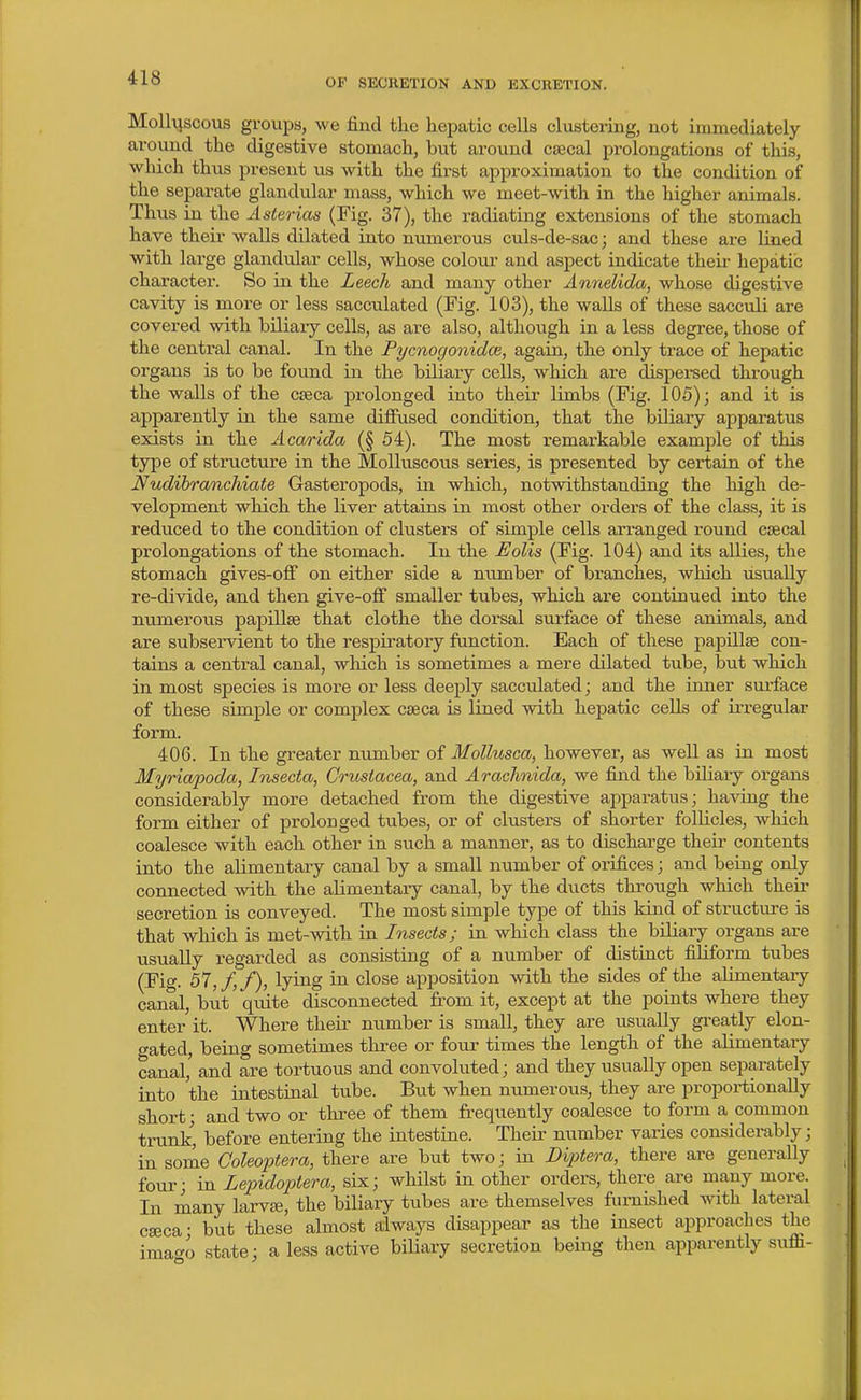 Molliiscous groups, we find the hepatic cells clustering, not immediately around the digestive stomach, but around cJEcal prolongations of this, which thus present us with the first approximation to the condition of the separate glandular mass, which we meet-with in the higher animals. Thus in the Asterias (Fig. 37), the radiating extensions of the stomach have their walls dilated into numerous culs-de-sac; and these are lined with large glandular cells, whose colour and aspect indicate their hepatic character. So in the Leech and many other Annelida, whose digestive cavity is more or less sacculated (Fig. 103), the walls of these sacculi are covered with biliaiy cells, as are also, although in a less degree, those of the central canal. In the Pycnogonidce, again, the only trace of hepatic organs is to be found in the biliary cells, which are dispei-sed through the walls of the cseca prolonged into their limbs (Fig. 105); and it is apparently in the same difiused condition, that the biliary apparatus exists in the Acarida (§ 54). The most remarkable example of this type of structure in the Molluscous series, is presented by certain of the Nudihranchiate Gasteropods, in which, notwithstanding the high de- velopment which the liver attains in most other orders of the class, it is redviced to the condition of clusters of simple cells arranged round csecal prolongations of the stomach. In the Eolis (Fig. 104) and its allies, the stomach gives-oflT on either side a number of branches, which usually re-divide, and then give-off smaller tubes, which are continued into the numerous papillse that clothe the dorsal surface of these animals, and are subservient to the respiratory function. Each of these papillse con- tains a central canal, which is sometimes a mere dilated tube, but which in most species is more or less deeply sacculated; and the inner surface of these simple or complex c£eca is lined with hepatic cells of irregular form. 406. In the greater number of Mollusca, however, as well as in most Myriapoda, Insecta, Gricsiacea, and Arachnida, we find the biliary organs considerably more detached from the digestive apparatus; having the form either of prolonged tubes, or of clusters of shorter follicles, which coalesce with each other in such a manner, as to discharge their contents into the alimentary canal by a small number of orifices; and being only connected with the alimentary canal, by the ducts through which their secretion is conveyed. The most simple type of this kind of structm-e is that which is met-with in Insects; in which class the biliary organs are usually regarded as consisting of a number of distinct filiform tubes (Fig. 57, /, f), lying in close apposition with the sides of the alimentaiy canal, but quite disconnected from it, except at the points where they enter it. Where their number is small, they are usually greatly elon- gated, being sometimes three or four times the length of the alimentary canal,' and are tortuous and convoluted; and they usually open separately into the intestinal tube. But when numerous, they are proportionally short • and two or three of them frequently coalesce to form a common trunk, before entering the intestine. Their number varies considerably; in sorne Coleoj)tera, there are but two; in Diptera, there are generally four; in Lepidoptera, six; whilst in other orders, there are many more. In many larvte, the biHary tubes are themselves furnished with lateral cseca • but these almost always disappear as the insect approaches the imac^o state; a less active biUary secretion being then apparently suffi-