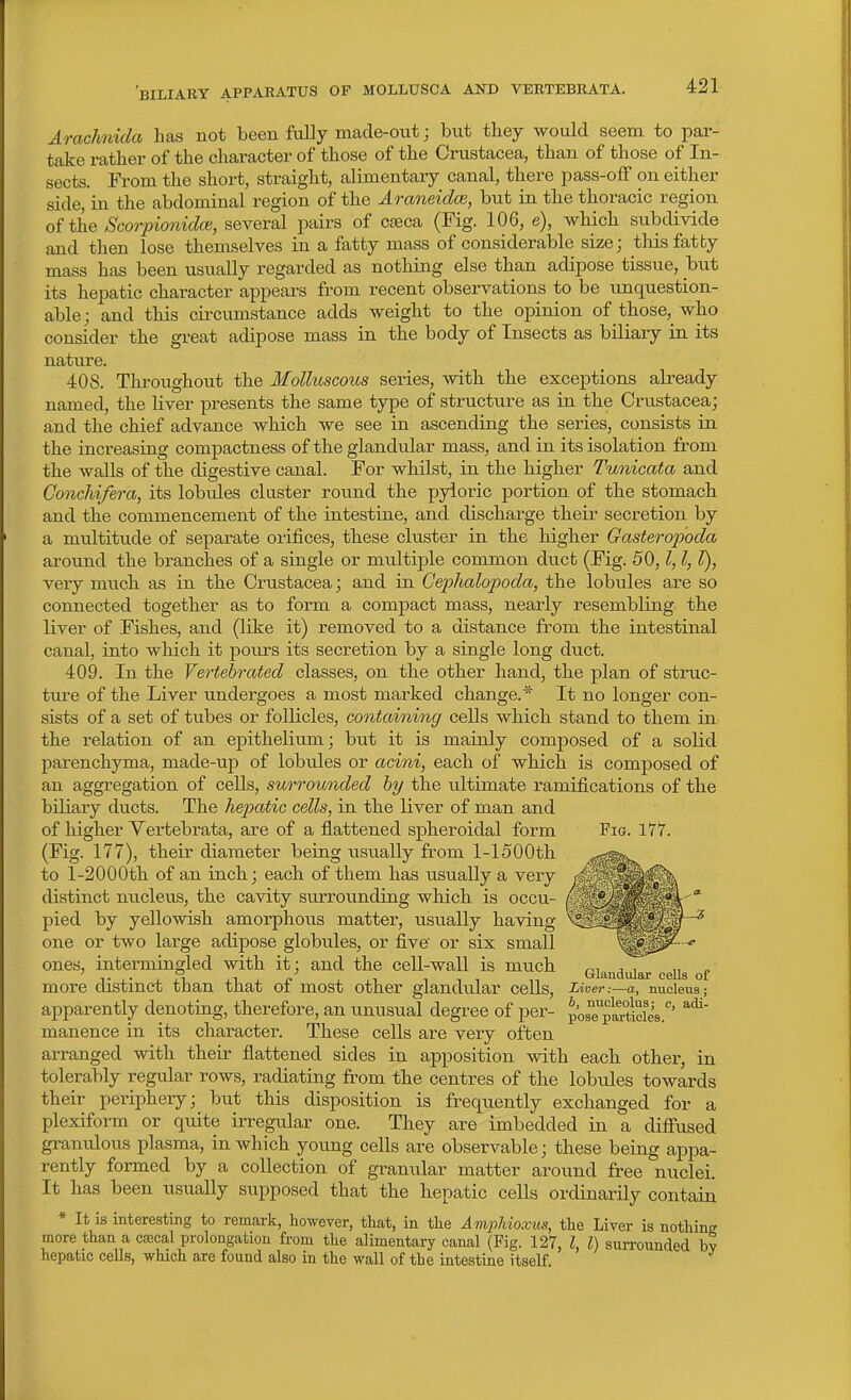 'biliary appabatus of mollusca and vertebbata. Arachnida has not been fully made-out; but they would seem to par- take rather of the character of those of the Crustacea, than of those of In- sects. From the short, straight, alimentary canal, there pass-oflf on either side, in the abdominal region of the Araneidce, but in the thoracic region of the Scorpionidce, several pairs of caeca (Fig. 106, e), which subdivide and then lose themselves in a fatty mass of considerable size; this fatty mass has been usually regarded as nothing else than adipose tissue, but its hepatic character appears from recent observations to be unquestion- able; and this circumstance adds weight to the opinion of those, who consider the great adipose mass in the body of Insects as biliary in its nature. 408. Throughout the Molluscous series, with the exceptions already named, the liver presents the same type of structtire as in the Crustacea; and the chief advance which we see in ascending the series, consists in the increasing compactness of the glandular mass, and in its isolation from the walls of the digestive canal. For whilst, in the higher Tunicata and Gonchifera, its lobules cluster round the pyloric portion of the stomach and the commencement of the intestine, and discharge their secretion by a multitude of separate orifices, these cluster in the higher Gasteropoda around the branches of a single or multiple common duct (Fig. 50,1,1, T), very nuich as in the Crustacea; and in Geplialopoda, the lobules are so connected together as to form a compact mass, nearly resembling the liver of Fishes, and (like it) removed to a distance from the intestinal canal, into which it jsours its secretion by a single long duct. 409. In the Vei'tebrated classes, on the other hand, the plan of struc- tiu-e of the Liver undergoes a most marked change.* It no longer con- sists of a set of tubes or follicles, containing cells which stand to them in the relation of an epithelium; but it is mainly composed of a solid parenchyma, made-up of lobules or acini, each of which is composed of an aggregation of cells, surrounded by the ultimate ramifications of the biliary ducts. The hepatic cells, in the liver of man and of higher Vertebrata, are of a flattened spheroidal form Fig. 177. (Fig. 177), their diameter being usually from l-1500th to 1-2000th of an inch; each of them has usually a very distinct nucleus, the cavity surrounding which is occu- pied by yellowish amoi-phous matter, usually having one or two large adipose globules, or five or six small ones, intermingled with it; and the cell-wall is much glandular eeUa of more distinct than that of most other glandular cells. Liver:—a, nucleus; apparently denoting, therefore, an unusual degree of per- pos°particie's.''' manence in its character. These cells are very often arranged with their flattened sides in apposition with each other, in tolerably regular rows, radiating from the centres of the lobules towards their periphery; but this disposition is frequently exchanged for a plexiform or quite irregular one. They are imbedded in a difiused granulous plasma, in which yoimg cells are observable; these being appa- rently formed by a collection of granular matter around free nuclei. It has been usually supposed that the hepatic cells ordinarily contain * It is interesting to remark, however, that, in the AmpJdoxus, the Liver is nothing more than a ca:cal prolongation from the alimentary canal (Fig. 127, I, I) siuTOunded by hepatic cells, which are found also in the wall of the intestine itself.