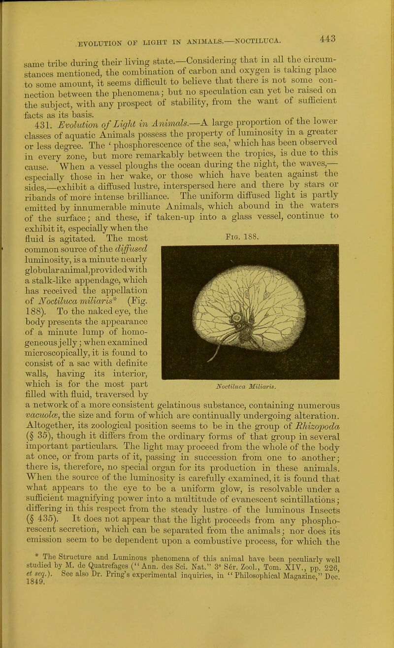 EVOLUTION OF LIGHT IN ANIMALS. NOCTILUCA. same tribe during tlieir living state.—Considering that in all the circum- stances mentioned, the combination of carbon and oxygen is taking place to some amoimt, it seems difficult to believe that there is not some con- nection between the phenomena; but no speculation can yet be raised on the subject, with any prospect of stability, from the want of sufficient facts as its basis. . r. , i i 431. Evolutio7i of Light in Animals.—X large proportion ot the lower classes of aquatic Animals possess the property of luminosity in a greater or less degree. The ' phosphorescence of the sea,' which has been observed in every zone, but more remarkably between the tropics, is due to this cause. When a vessel ploughs the ocean during the night, the waves,— especially those in her wake, or those which have beaten against the sides,—exhibit a diffused lustre, interspersed here and there by_ stars or ribands of more intense brilliance. The uniform diffused light is partly emitted by innumerable minute Animals, which abound in the waters of the sui-face; and these, if taken-up iuto a glass vessel, continue to exhibit it, especially when the Euid is agitated. The most Fw- 188. common soiu'ce of the diffused luminosity, is a minute nearly globular aiiimal,provided with a stalk-like appendage, which has received the appellation of Noctiluca miliaris* (Fig. 188). To the naked eye, the body presents the appearance of a minute lump of homo- geneous jelly ; when examined microscopically, it is found to consist of a sac with definite walls, having its interioi-, which is for the most part filled with fluid, traversed by a network of a more consistent gelatinous substance, containing numerous vacuolce, the size and form of which are continually undergoing alteration. Altogether, its zoological position seems to be in the group of Rhizopoda (§ 35), though it differs from the ordinary forms of that group in several important particulars. The light may proceed from the whole of the body at once, or from parts of it, passing in succession from one to another; there is, therefore, no special organ for its production in these animals. When the source of the luminosity is carefully examined, it is found that what appears to the eye to be a uniform glow, is resolvable under a sufficient magnifying power into a multitude of evanescent scintillations; differing in this respect from the steady lustre of the luminous Insects (§ 435). It does not appear that the light proceeds from any phospho- rescent secretion, which can be separated from the animals; nor does its emission seem to be dependent upon a combustive process, for which the * The Structure and Luminous phenomena of this animal have been peculiarly well studied by M. de Quatrefages (Ann. des Sci. Nat. 3<= Ser. Zool., Tom. XIV., pp. 226, et seq.). See also Dr. Pring's experimental inquiries, in Philosophical Magazine, Dec'. 1849. Noctiluca Milia/ris.