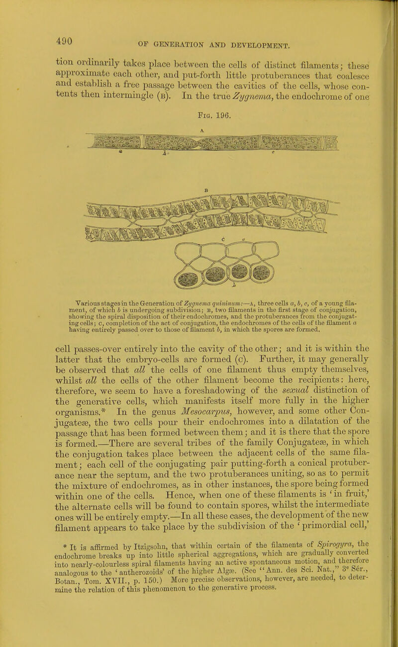 OF GENERATION AND DEVELOPMENT. tion orcUnarily takes jilace between tlie cells of distinct filaments; these aj)proxnnate each other, and put-forth little protub erances that coalesce and establish a free passage between the cavities of the cells, whose con- tents then interniiugle (b). In the true Zygnema, the endochi-ome of one Fio. 196. Various stages in the Generation of Zi/gnema quininitm:—a, three cells n, 6, e, of a young fila- ment, of which b is undergoing subdivision; u, two filaments in the first stage of conjugation, showing the spiral disposition of their endoohromes, and the protuberances from the conjugat- ing cefis; 0, completion of the act of conjugation, the endoehromes of the cells of the filament a having entirely passed over to those of filament h, in which the spores are fonned. cell passes-over entirely into the cavity of the other; and it is within the latter that the embryo-cells are formed (c). Further, it may generally be observed that all the cells of one filament thus empty themselves, whilst all the cells of the other filament become the recipients: here, therefore, we seem to have a foreshadowing of the sexual distinction of the generative cells, which manifests itself more fully in the higher organisms.* In the genus Mesocarpus, however, and some other Con- jugatefe, the two cells poiu- their endoehromes into a dilatation of the passage that has been formed between them; and it is there that the spore is formed.—There are several tribes of the family Conjugatese, in which the conjugation takes place between the adjacent cells of the same fila- ment ; each cell of the conjugating pair putting-forth a conical protuber- ance near the septum, and the two protuberances uniting, so as to permit the mixture of endoehromes, as in other instances, the spore being formed within one of the cells. Hence, when one of these filaments is ' in fruit,' the alternate cells will be found to contain spores, whilst the intermediate ones will be entirely empty.—In all these cases, the development of the new filament appears to take place by the subdivision of the ' primordial cell,' * It is afiirmed by Itzigsolin, that within certain of the filaments of Spirogyra, the endochrome breaks up into little spherical aggregations, which are graduaUy converted into nearly-colourless spiral filaments having au active spontaneous motion and thereiore analogous to the 'antherozoids' of the higher Algts. (See Ann. des Sci. Nat., » ber., Botan. Tom. XVII., p. 150.) More precise observations, however, are needed, to deter- mine the relation of this phenomenon to the generative process.