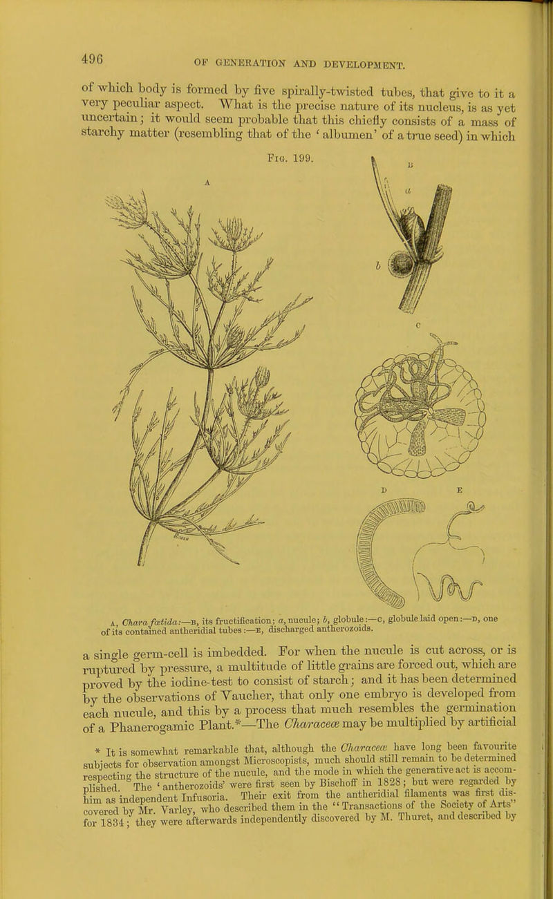 of wlucli body is formed by five spirally-twisted tubes, that give to it a very peculiar aspect. What is the precise nature of its nucleus, is as yet uncertain; it would seem probable that this cliiefly consists of a mass of starchy matter (resembling that of the ' albumen' of a true seed) in which Fia. 199. A Charafoetida.—-B, its fructifloation; a, nucule; b, globule:—o, globule laid open:—D, one of ita contained antheridial tubes:—e, discharged antberozoids. a sino-le germ-cell is imbedded. For when the nucule is cut across, or is ruptured by pressure, a multitude of little grains are forced out, which are proved by the iodine-test to consist of starch; and it has been determined by the observations of Yaucher, that only one embryo is developed from each nucule, and this by a process that much resembles the germination of a Phanerogamic Plant.*—The CAamceoe may be multiplied by artificial * It is somewhat remarkable that, although the Characece have long been favourite subiects for observation amongst Microscopists, much should still remam to be determmed respectms the structure of the nucule, and the mode m which the generative act is accom- Sished The 'antherozoids' were first seen by Bischoif in 1828; but were regarded by him as independent Infusoria. Their exit from the antheridial iilaments ^yas fii^t dis- crered by Mr. Varley, who described them in the  Transactions of the Society of Art* fori834 they were ^terwards independently discovered by M. Thuret, and described by
