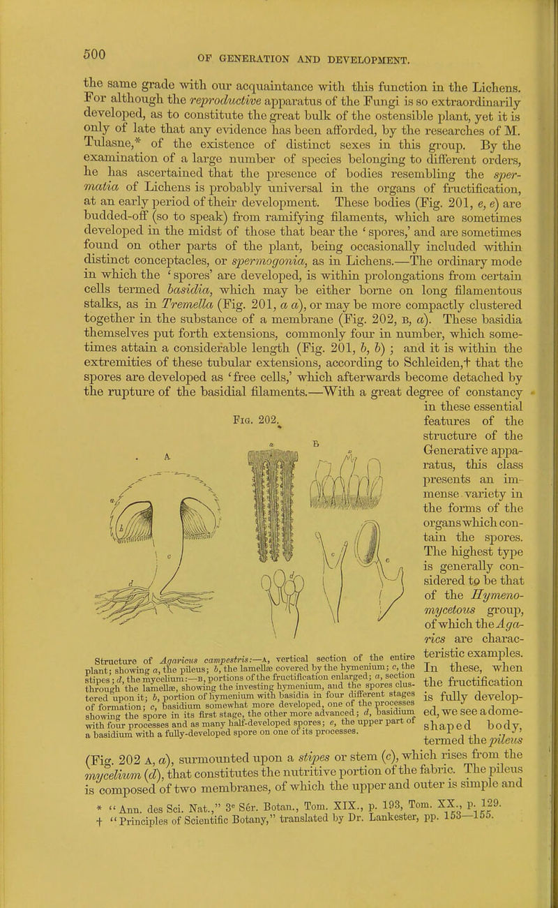 the same grade with our acquaintance with this function in the Lichens. For although the reproductive apjDaratus of the Fvmgi is so extraordinarily- developed, as to constitute the great bidk of the ostensible plant, yet it is only of late that any evidence has been afforded, by the researches of M. Tulasne,* of the existence of distinct sexes in this group. By the examination of a large number of species belonging to different orders, he has ascertained that the presence of bodies resembling the sper- matia of Lichens is probably universal in the organs of fmctification, at an early period of their development. These bodies (Fig. 201, e,e) are budded-off (so to speak) from ramifying filaments, which are sometimes developed in the midst of those that bear the ' spores,' and are sometimes found on other parts of the plant, being occasionally included within distinct conceptacles, or spermogonia, as in Lichens.—The ordinary mode in which the ' spores' are developed, is within prolongations from certain cells termed basidia, which may be either borne on long filamentous stalks, as in Tremella (Fig. 201, a a), or may be more compactly clustered together in the substance of a membrane (Fig. 202, B, a). These basidia themselves put forth extensions, commonly four in number, which some- times attain a considerable length (Fig. 201, h, h) ; and it is within the extremities of these tubular extensions, according to Schleiden,+ that the spores are developed as 'free cells,' which afterwards become detached by the rupture of the basidial filaments.—^With a great degree of constancy in these essential Fig. 202.^ features of the structure of the Generative aj)pa- ratus, this class j)resents an im- mense variety in the forms of the organs which con- tain the spores. The highest type is generally con- sidered t£) be that of the Hymeno- mycetous grouj), of which the A ga- rics ai'e charac- teristic examples. In these, when the fructification is fully develop- ed, we see a dome- shaped body, tei'med the 2nleiis (Fig 202 A, a), surmounted upon a sti2yes or stem (c), which rises from the mycelium (d), that constitutes the nutritive portion of the fabric. The pileus is composed of two membranes, of which the upper and outer is smiple and * Ann. desSci. Nat., Ser. Botan., Tom. XIX., p. 193, Tom. XX , p. 129. + Principles of Scientific Botany, translated by Dr. Lankester, pp. 16d—iOO. Structxire of Anaricus campestris vertical section of the entire plant; showing a, the pileus; b, the lameUaj covered by the hymeniiun; c, the stipes • d the myceUum:—B, portions of the fructification enlarged; a, section through the lamellre, showing the investing hyraenium, and the spores clus- tered uponit; J, portion of hymenium with basidia m four ditterent stages of formation; c, basidium somewhat more developed, one of the processes showing the spore in its first stage, the other more advanced; d, basidiuni with four processes and as many half-developed spores; e, the upper part ot a basidium with a fuUy-developed spore on one ot its processes.