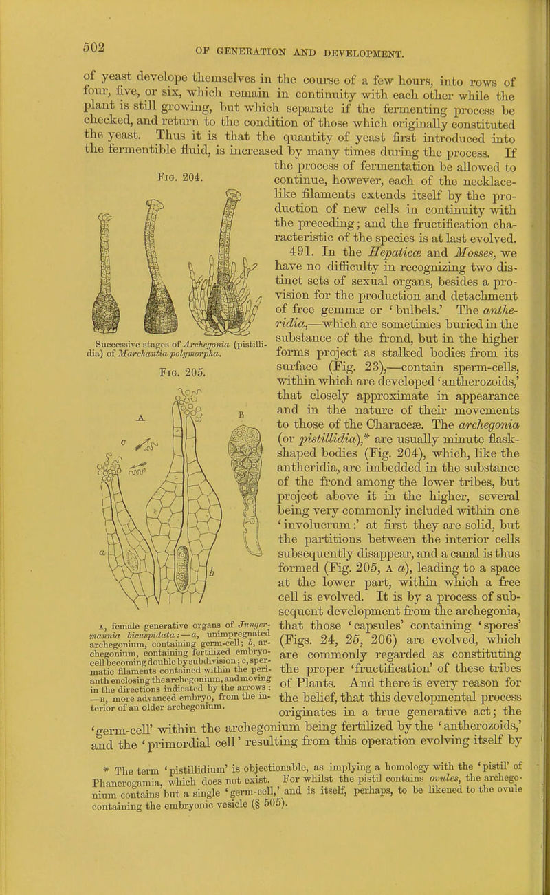 FlO. 204. of yeast develope themselves in the course of a few hours, into rows of foiu-, five, or six, which remain in continuity with each other while the plant is still growing, but which separate if the fermenting process be checked, and return to the condition of those which originally constituted the yeast. Thus it is that the quantity of yeast first introduced into the fermentible fluid, is increased by many times during the process. If the process of fermentation be allowed to continue, however, each of the necklace- like filaments extends itself by the pro- duction of new cells in continuity with the preceding; and the fructification cha- racteristic of the species is at last evolved. 491. In the HepaticcB and Mosses, we have no difiiculty in recognizing two dis- tinct sets of sexual organs, besides a pro- vision for the production and detachment of free gemmae or ' bulbels.' The anthe- ridia,—wMch are sometimes buried in the substance of the frond, but in the higher forms project as stalked bodies from its surface (Fig. 23),—contain sperm-cells, within which are developed 'antherozoids,' that closely approximate in appearance and in the nature of their movements to those of the Characese. The archegonia (or pistillidia)* are usually minute fiask- shajaed bodies (Fig. 204), which, like the antheridia, are imbedded in the substance of the frond among the lower tribes, but project above it in the higher, several being very commonly included within one ' involucrum:' at first they are solid, but the partitions between the interior cells subsequently disappear, and a canal is thus formed (Fig. 205, a a), leading to a space at the lower part, within which a free cell is evolved. It is by a process of sub- sequent development from the archegonia, female generative organs of Jzinger- that those ' Capsules' containing ' Spores' , „ ,.„n,r,«t<. ^jij^gg_ 24, 25, 206) are evolved, which commonly regarded as constituting Successive stages of Archegonia (pistilli- dia) of Mwrcha7itia poli/morpjia. Fig. 205. mannia bicuspidata :—a, unimx^regnated archegonium, contaiiung germ-cell; b, ar- chegonium, containing fertilized embryo- cell becoming double by subdivision; c, sper- matic filaments contained within the peri- anth enclosing the archegonium, andmovmg in the directions indicated by the arrows : —B, more advanced embryo, from the m- terior of an older archegonium. are the proper 'fructification' of these tribes of Plants. And there is eveiy reason for the belief, that this developmental process originates in a true generative act; the 'germ-ceir within the archegonium being fertilized by the ' antherozoids,' and the ' primordial cell' resulting from this operation evolving itself by * Tlie term 'pistillidium' is objectionable, as implying a homology with the 'pistil' of Phanerogamia, which does not exist. For whilst the pistil contains ovules, the archego- nium contains but a single 'germ-cell,' and is itself, perhaps, to be likened to the ovule containing the embryonic vesicle (§ 505).
