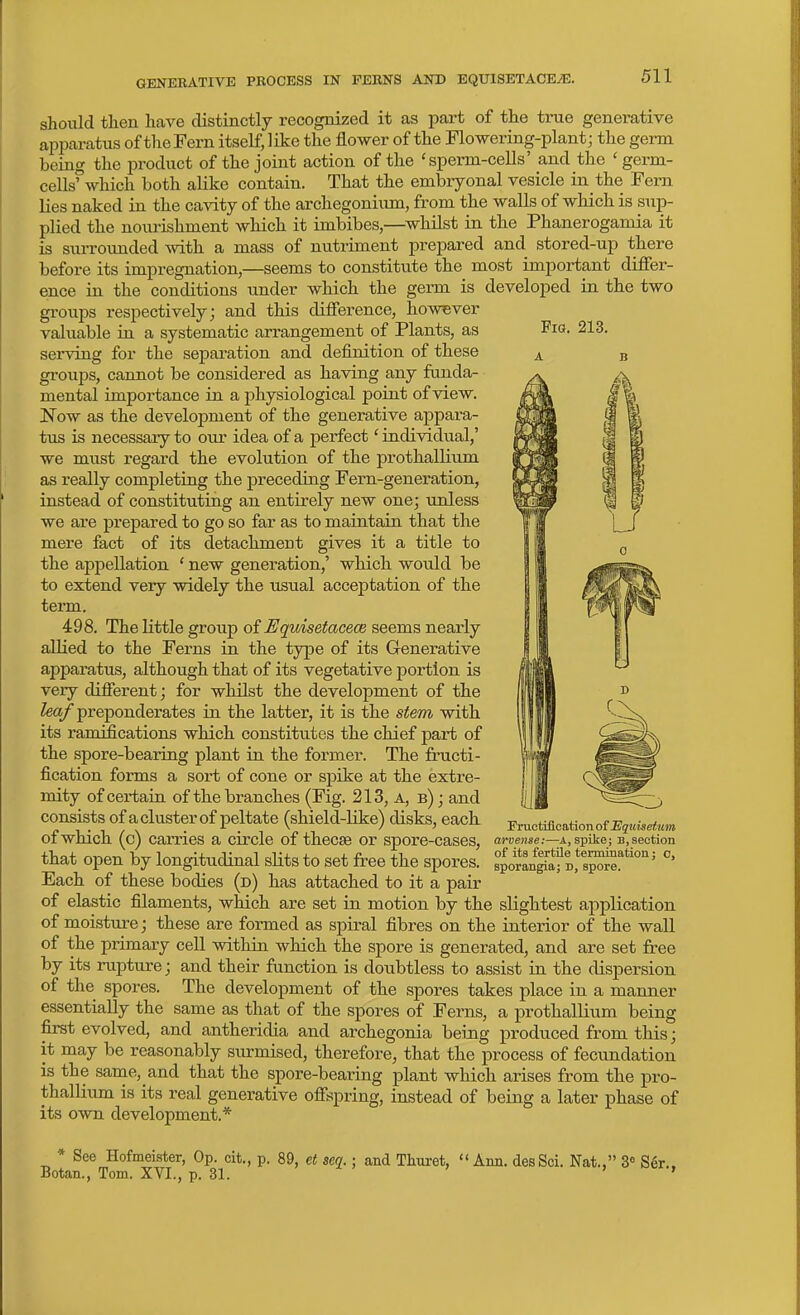 should then have distinctly recognized it as part of the true generative apparatus of the Fern itself, like the flower of the Flowering-plant; the germ being the product of the joint action of the 'sperm-cells' and the ' germ- cells°which both alike contain. That the embryonal vesicle in the Fern lies naked in the cavity of the archegonium, from the walls of which is sup- plied the nourishment which it imbibes,—^whilst in the Phanerogamia it is surrounded Avith a mass of nutriment prepared and stored-up there before its impregnation,—seems to constitute the most important difier- ence in the conditions under which the germ is developed in the two groups respectively; and this difference, however valuable in a systematic arrangement of Plants, as serving for the separation and definition of these groups, cannot be considered as having any funda- mental importance in a physiological point of view. Now as the development of the generative appara- tus is necessary to oiu- idea of a perfect' individual,' we must regard the evolution of the prothallium as really completing the preceding Fern-generation, instead of constituting an entirely new one; unless we are prepared to go so far as to maintain that the fact of its detachment gives it a title to Fia. 213. mere the appellation ' new generation,' which would be to extend very widely the usual acceptation of the term, 498. The little group oiEquisetacece seems nearly allied to the Ferns in the type of its Generative apparatus, although that of its vegetative portion is very difierent; for whilst the development of the ^eo/ preponderates in the latter, it is the stem with, its ramifications which constitutes the chief part of the spore-bearing plant in the former. The fracti- fication forms a sort of cone or spike at the extre- mity of certain of the branches (Fig. 213, a, b) ; and consists of a cluster of peltate (shield-Uke) disks, each, of which (c) carries a circle of thecse or spore-cases, that open by longitudinal slits to set free the spores. Each of these bodies (d) has attached to it a pair of elastic filaments, wliich are set in motion by the slightest application of moistm-e; these are formed as spiral fibres on the interior of the waU of the primary cell within which the spore is generated, and are set free by its rupture; and their function is doubtless to assist in the dispersion of the spores. The development of the spores takes place in a manner essentially the same as that of the spores of Ferns, a prothallium being first evolved, and antheridia and archegonia being produced from this; it may be reasonably surmised, therefore, that the process of fecundation is the same, and that the spore-bearing plant which arises from the pro- thallium is its real generative ofi'spring, instead of being a later phase of its own development.* Fructification o{ Equisetum ai'vense:—A, spike; B, section of its fertile termination; c, sporangia; d, spore. * See Hofmeister, Op. cit., p. 89, et sea. Botan., Tom. XVI., p. 31. and Thuret,  Ann. desSci. Nat., 3 Ser.,