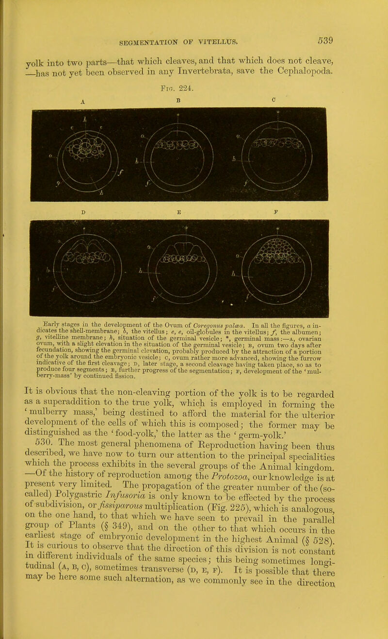 SEGMENTATION OF VITELLUSv yolk into two parts—that which cleaves, and that which does not cleave, lifis not yet been observed in any Invertebrata, save the Cephalopoda. Early stages in the development of the Ovum of Coregonus palma. In all the figures, a in- dacates the shell-membrane; b, theviteUus; e, e, oil-globules in the vitellus;/, the albumen; g, viteUine membrane; h, situation of the germinal vesicle; *, germinal mass :—a, ovarian ovum, with a sHght elevation in the situation of the germinal vesicle; B, ovum two days after fecundation, showing the germinal elevation, probably produced by the attraction of a portion oi the yolk around the embryonic vesicle; o, ovum rather more advanced, showing the furrow mdieative of the first cleavage; d, later stage, a second cleavage having taken place, so as to produce tour segments; e, further progress of the segmentation; f, development of the 'mul- berry-mass by continued fission. It is obvious that the non-cleaving portion of the yolk is to be regarded as a superaddition to the true yolk, which is employed in forming the ' mulberry mass,' being destined to afford the material for the ulterior development of the cells of which this is composed; the former may be distinguished as the 'food-yolk,' the latter as the ' germ-yolk.' 530. The most general phenomena of Eeproduction having been thus described, we have now to turn our attention to the principal specialities which the process exhibits in the several groups of the Animal kingdom —Of the history of reproduction among the Protozoa, our knowled^^e is at present very limited. The propagation of the greater number of the (so- called) Polygastric Infusoria is only known to be effected by the process of subdivision, or/m^arozis multiplication (Fig. 225), which is analogous on the one hand, to that which we have seen to prevail in the parallel group of Plants (§ 349), and on the other to that which occurs in the earliest stage of embryonic development in the highest Animal (S 528^ It IS cunous to observe that the direction of this division is not constant m different individuals of the same species; this being sometimes longi- tudinal (A, B, 0), sometimes transverse (d, e, f). It is possible that thel-e may be here some such alternation, as we commonly see in the direction