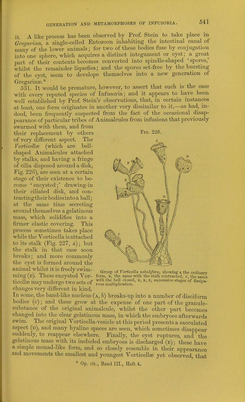 GENERATION AND METAMORPHOSES OF INFUSORIA. Fig. 226. it. A like process has been observed by Prof. Stein to take place in Grega/rina, a single-celled Entozoon inhabiting the intestinal canal of many of the lower animals; for two of these bodies fuse by conjugation into one sphere, which acquires a distinct integument or cyst; a great pai-t of their contents becomes converted into spindle-shaped ' spores,' whilst the remainder liquefies; and the spores set-free by the bursting of the cyst, seem to develope themselves into a new generation of Gregarinfe.* 531. It wovdd be premature, however, to assert that such is the case with every reputed species of Infusoria; and it appears to have been well established by Prof Stein's observations, that, in certain, instances at least, one form originates in another very dissimilar to it,—as had, in- deed, been frequently suspected from the fact of the occasional disap- pearance of particular tribes of Animalcules from infusions that previously swarmed with them, and from thefr replacement by others of very different aspect. The Vorticellce (which are bell- shaped Animalcules attached by stalks, and having a fringe of ciHa disposed around a disk, Fig. 226), are seen at a certain stage of their existence to be- come ' encysted;' drawing-in their ciliated disk, and con- tractingtheir bodies intoa ball; at the same time secreting around themselves a gelatinous mass, which solidifies into a firmer elastic covering. This process sometimes takes place while the Vorticella is attached to its stalk (Fig. 227, a); but the stalk in that case soon breaks; and more commonly the cyst is formed around the animal whilst it is freely swim- n ^rir^ n i v • J . Group of Vorhcella nehulifera, showing a the ordinary ming (b). These encysted V or- form, b, the same with, the stalk contracted, c, the same ticellEB may undergo two sets of ^tus L^^tipLS' °' ^^p^ changes very difiercnt in kind. In some, the band-like nucleus (a, h) breaks-up into a number of disciform bodies (c); and these grow at the expense of one part of the granule- substance of the original animalcule, whilst the other part becomes changed into the clear gelatinous mass, in which the embryoes afterwards swim. The original Yorticella-vesicle at this period presents a sacculated aspect (d), and many hyaline spaces are seen, which sometimes disappear suddenly, to reappear elsewhere. Finally, the cyst ruptures, and the gektinous mass with its included embryoes is discharged (e); these have a simple monad-like form, and so closely resemble in their appearance and movements the smallest and youngest Yorticellaa yet observed, that * Op. cit., Band III., Heft 4.
