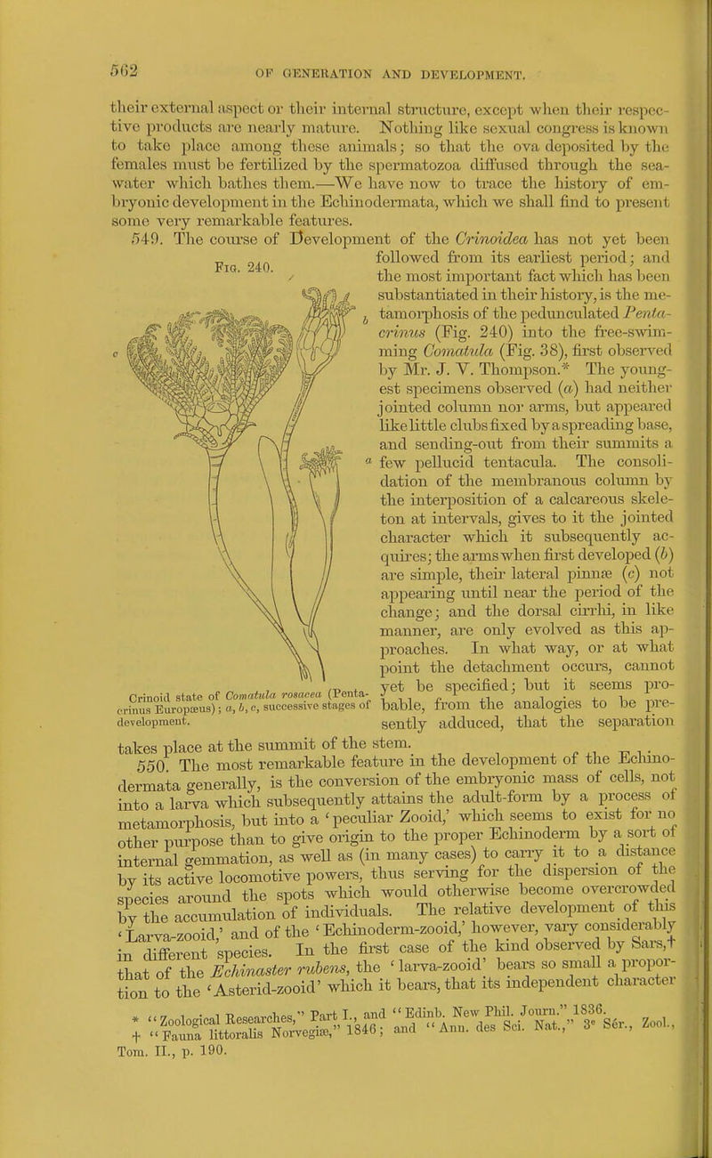 5G2 Fia. 240. tlieir external aspect or their internal structure, except when their respec- tive pi'oducts are neaily mature. Nothing like sexual congress is known to take place among these animals; so that the ova deposited by the females m\ist be fertilized by the spermatozoa diffused through the sea- water wliich bathes them.—Wc have now to trace the histoiy of em- bryonic development in the Echinodermata, which we shall find to present some very remarkable features. 54-0. The course of Development of the Crinoidea has not yet been followed from its earliest period; and the most important fact which has Ijeen substantiated in their history, is the me- tamorphosis of the pedunculated Penta- crinus (Fig. 240) into the free-s^vim- ming Comaiula (Fig- 38), first obsei'ved by Mr. J. Y. Thompson.* The young- est sj)ecimens observed (ct) had neithei' jointed column noi arms, but appeared like little chibs fixed by a spreading base, and sending-out from their summits a few pellucid tentacula. The consoli- dation of the membranous colmnn by the interposition of a calcareous skele- ton at intervals, gives to it the jointed character which it subsequently ac- quires; the arms when first developed (b) are simple, their lateral pinnse (c) not appearing until near the period of the change; and the dorsal cirrhi, in like manner, are only evolved as this ap- proaches. In what way, or at what point the detachment occurs, cannot yet be specified; but it seems pro- bable, from the analogies to be pre- sently adduced, that the separation takes place at the summit of the stem. , ^ ^ . ^ -r. t 550 The most remarkable feature in the development of the Ji^cluno- dermata generally, is the conversion of the embryonic mass of cells, not into a larva which subsequently attains the adult-form by a process ot metamorphosis, but into a 'peculiar Zooid,' which seems to exist for no other purpose than to give origin to the proper Echmoderm by a sort of internal gemmation, as well as (in many cases) to carry it to a distance bv its active locomotive powers, thus serving for the dispersion of the snecies around the spots which would otherwise become overcrowded Z Z armulation if individuals. The relative development of thi. 'Lirva-zooid' and of the ' EcHnoderm-zooid,' however, vaiy considerably i^ Sren species. In the first case of the kind observed by Sai-s,t that of the Echinaster rubens, the ' larva-zooid' bears so smaU a propoi^ tion to the 'Asterid-zooid' which it bears, that its independent character * ^< Zoological Eesearches, Part L -d '^^^/^^^/Ts^., Zoo,., t Fauna littoraUs Noi-vegia), aiui Anu. aes ^n. i . ., Tom. II., p. 190. Crinoid state of Comatula rosacea (Penta- crinus Europajus); a, b, c, successive stages of developmeut.