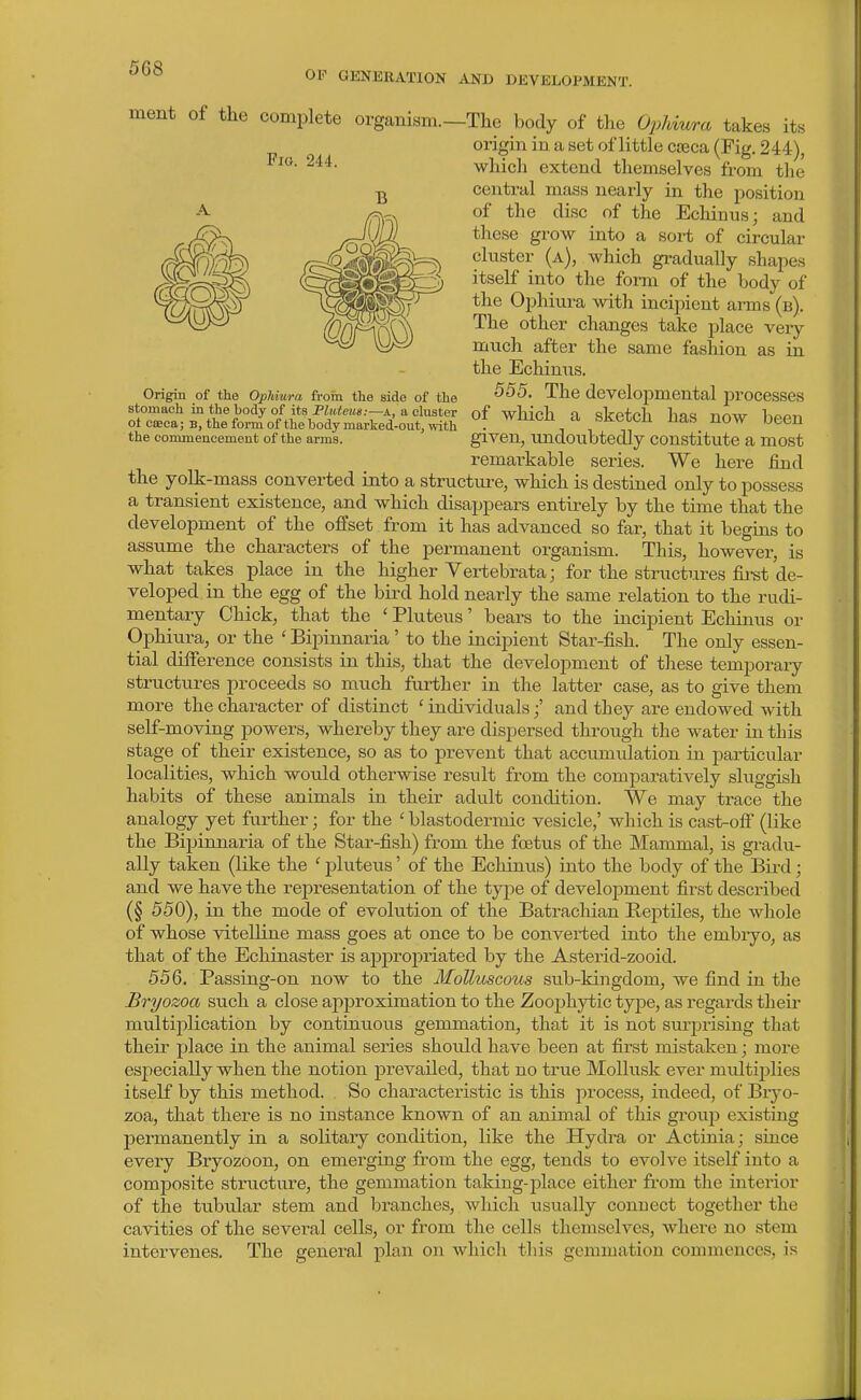 OP GENERATION AND DEVELOPMENT. Origm of the OpUura from the side of the stomach in the body of its Pluteua:—a, a cluster ot cceca; B, the form of the body marked-out, with the commencement of the arms. ment of the complete oi-ganism.—The body of the Oiyhiwra take.s its origin in a set of little caeca (Fig. 244), which extend themselves from the central mass nearly in the position of the disc of the Ecliinusj and these grow into a sort of circular cluster (a), which gradually shapes itself into the form of the body of the Ophiura with incipient arms (b). The other changes take place veiy much after the same fashion as in the Echinus. 555. The developmental processes of which a sketch has now been given, undoubtedly constitute a most remarkable series. We here find the yolk-mass converted into a structm-e, which is destined only to possess a transient existence, and which disappears entirely by the time that the development of the offset from it has advanced so far, that it begins to assume the characters of the permanent organism. This, however, is what takes place in the higher Vertebrata; for the structures fii^t de- veloped in the egg of the bird hold nearly the same relation to the rudi- mentary Chick, that the ' Pluteus' bears to the incipient Echinus or Ophiura, or the ' Bipinnaria ' to the incipient Star-fish. The only essen- tial difference consists in this, that the development of these temporary structures proceeds so much further in the latter case, as to give them more the character of distinct ' individuals j' and they are endowed with self-moving powers, whereby they are dispersed through the water in this stage of their existence, so as to prevent that accumulation in particular localities, which would otherwise result from the comparatively sluggish habits of these animals in their adult condition. We may trace the analogy yet further; for the ' blastodermic vesicle,' which is cast-ofi (like the Bipinnaria of the Star-fish) from the foetus of the Mammal, is gradu- ally taken (like the ' pluteus' of the Echinus) into the body of the Bird; and we have the representation of the type of development first described (§ 550), in the mode of evolution of the Batracliian Reptiles, the whole of whose vitelline mass goes at once to be converted into the embiyo, as that of the Echinaster is appropriated by the Asterid-zooid. 556. Passing-on now to the Molluscous sub-kingdom, we find in the Bryozoa such a close apjjroximation to the Zoophytic tyjie, as regards theii- multiplication by continuous gemmation, that it is not surprising that their place in the animal series should have been at first mistaken; more especially when the notion prevailed, that no true Mollusk ever multiplies itself by this method. So characteristic is this process, indeed, of Bryo- zoa, that there is no instance known of an animal of this group existing permanently in a solitary condition, like the Hydra or Actinia; since every Bryozoon, on emerging from the egg, tends to evolve itself into a composite structure, the gemmation taking-place either from the interior of the tubular stem and Isranches, which usually connect together the cavities of the sevei-al cells, or from the cells themselves, where no stem intervenes. The general plan on which this gemmation commences, is