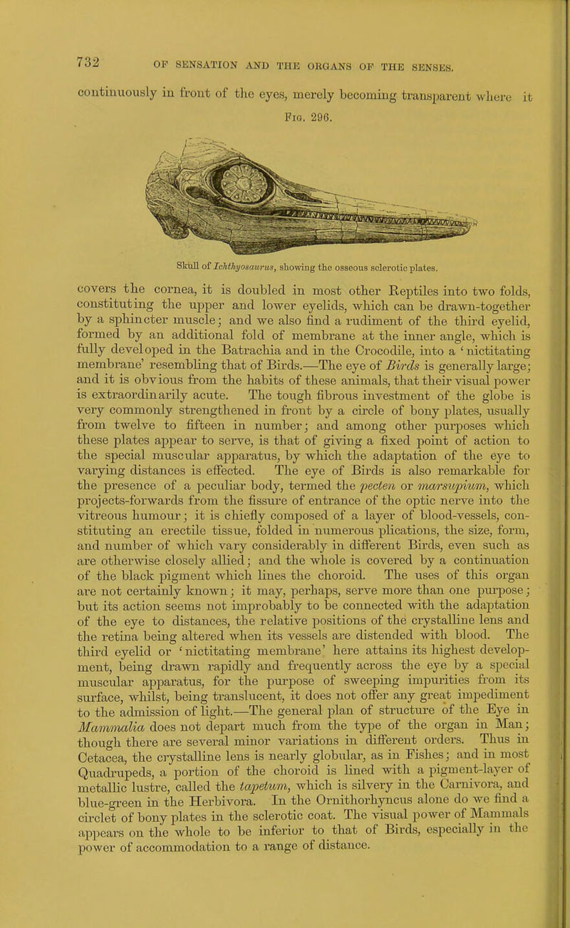coutiuuously in front of the eyes, merely becoming transi)arent where it Fig. 296. SMI oS Ichthyosaurus, showing the osseous solerotio plates. covers the cornea, it is doubled in most other Reptiles into two folds, constituting the upper and lower eyelids, which can be drawn-together by a sphincter muscle; and we also find a rudiment of the third eyelid, formed by an additional fold of membrane at the inner angle, which is fully developed in the Batrachia and in the Crocodile, into a 'nictitating membrane' resembling that of Birds.—The eye of Birds is generally large; and it is obvious from the habits of these animals, that their visual power is extraordinarily acute. The tough fibrous investment of the globe is very commonly strengthened in front by a circle of bony plates, usually from twelve to fifteen in number; and among other purposes which these plates appear to serve, is that of giving a fixed point of action to the special muscular apparatus, by which the adajDtation of the eye to vaiying distances is effected. The eye of Birds is also remarkable for the presence of a peculiar body, termed the jjecien or marsiopium, which projects-forwards from the fissure of entrance of the optic nerve into the vitreous humour; it is chiefly composed of a layer of blood-vessels, con- stituting an erectile tissue, folded in numerous plications, the size, form, and number of which vary considerably in difierent Birds, even such as are otherwise closely allied; and the whole is covered by a continuation of the black pigment which lines the choroid. The uses of this organ are not certainly known; it may, perhaps, serve more than one pui'pose; but its action seems not improbably to be connected with the adaptation of the eye to distances, the relative positions of the crystalline lens and the retina being altered when its vessels are distended with blood. The third eyelid or 'nictitating membrane' here attains its highest develop- ment, being drawn rapidly and frequently across the eye by a special muscu^lar apparatus, for the purpose of sweeping impurities from its surface, whilst, being translucent, it does not offer any great impediment to the admission of light.—The general plan of structure of the Eye in Mammalia does not depart much from the type of the organ in Man; though there are several minor variations in different orders. Thus in Cetacea, the crystalline lens is nearly globular, as in Fishes; and in most Quadi-upeds, a portion of the choroid is lined with a pigment-layer of metallic lustre, called the iaiMum, which is silvery in the Carnivora,, and blue-gi-een in the Herbivora. In the Ornithorhyncus alone do we find a circlet of bony plates in the sclerotic coat. The visual power of Mammals appears on the whole to be inferior to that of Birds, especially in the power of accommodation to a range of distance.