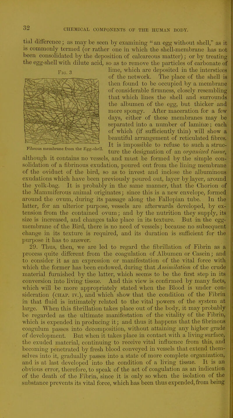 tial difference; as may be seen by examining  an egg without shell, as it is commonly termed (or rather one in which the shell-membrane has not been consolidated by the deposition of calcareous matter); or by treating the egg-shell with dilute acid, so as to remove the particles of carbonate of 3 lime, which are deposited in the interstices of the network. The place of the shell is rS--W''/:><*!A.-\'s y] then found to be occupied by a membrane \ of considerable firmness, closely resembling I that which lines the shell and surrounds j the albumen of the egg, but thicker and I more spongy. After maceration for a few • days, either of these membranes may be ; separated into a n^imber of laminte; each I of which (if sufficiently thin) will show a _ , _ I beautifid arrangement of reticulated fibres. It is impossible to refuse to such a stmc- Fibrous membrane from the Egg-shell. , .i j - n •7j- ture the desig-nation oi an organized tissue, although it contains no vessels, and must be formed by the simple con- solidation of a fibrinous exudation, poured out from the lining membrane of the oviduct of the bird, so as to invest and inclose the albuminoiis exudations which have been previously pom-ed out, layer by layer, around the yolk-bag. It is probably in the same manner, that the Chorion of the Manimiferous animal originates; since this is a new envelope, formed around the ovum, during its passage along the Fallopian tube. In the latter, for an ulterior pm-pose, vessels are afterwards developed, by ex- tension from the contained ovum; and by the nutrition they supply, its size is increased, and changes talce place in its texture. But in the egg- membrane of the Bird, there is no need of vessels; because no subsequent change in its texture is required, and its duration is sufficient for the purpose it has to answer. 29. Thus, then, we are led to regard the fibrillation of Fibrin as a process quite different from the coagulation of Albumen or Casein; and to consider it as an expression or manifestation of the vital force with which the former has been endowed, during that Assimilation of the crude material furnished by the latter, which seems to be the first step in its conversion into living tissue. And this view is confirmed by many facts, which will be more apj)ropriately stated when the Blood is tmder con- sideration (chap. IV.), and which show that the condition of the Fibrin in that fluid is intimately related to the vital powers of the system at large. When this fibrillation takes place out of the bodj'^, it may probably be regarded as the ultimate manifestation of the vitality of the Fibrin, which is expended in producing it; and thus it happens that the fibrinous coagulum passes into decomposition, without attaining any higher grade of development. But when it takes place in contact with a living sm-flice, the exuded material, continuing to receive vital influence from this, and becoming penetrated by fresh blood conveyed in vessels that extend them- selves into it, gradually passes into a state of more complete organization, and is at last developed into the condition of a living tissue. It is an obvious error, therefore, to speak of the act of coagidation as an indication of the death of the Fibrin, since it is only so when the isolation of the substance prevents its vital force, which has been thus expended, from being