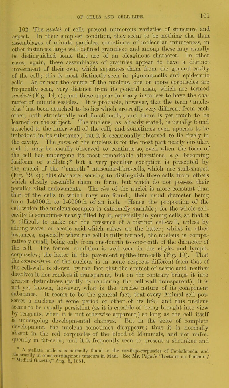 102. The nuclei of cells present numerous varieties of structiu-e and aspect. In their simplest condition, they seem to be nothing else than assemblages of minute particles, sometimes of molecular minuteness, in Other instances large well-defined granules; and among these may usually be distinguished some that are of an oleaginous character. In other cases, again, these assemblages of granules appear to have a distinct investment of their owti, which separates them from the general cavity of the cell; this is most distinctly seen in pigment-cells and epidermic cells. At or near the centre of the nucleus, one or more corpuscles are frequently seen, very distinct from its general mass, which are termed nucleoli (Fig. 19, c); and these appear in many instances to have the cha- racter of minute vesicles. It is probable, however, that the term ' nucle- olus ' has been attached to bodies which are really veiy different from each other, both structiu-ally and functionally; and there is yet much to be learned on the subject. The nucleus, as already stated, is usually found attached to the inner wall of the cell, and sometimes even appears to be imbedded in its substance; but it is occasionally observed to lie freely in the cavity. The /orm of the nucleus is for the most part nearly circular, and it may be usually observed to continue so, even when the form of the cell has undergone its most remarkable alterations, e. g. becoming fusiform or stellate;* but a very peculiar exception is presented by the nuclei of the  smooth muscular-fibre-cells, which are staflf-shaped (Fig, 79, c); this character serving to distinguish these cells from others which closely resemble them in form, but which do not possess their peculiar vital endowments. The size of the nuclei is more constant than that of the cells in which they are found; their usual diameter being from l-4000th to l-6000th of an inch. Hence the proportion of the cell which the nucleus occupies is extremely variable; for the whole cell- . cavity is sometimes nearly filled by it, especially in young cells, so that it is difficult to make out the presence of a distinct cell-wall, unless by adding water or acetic acid which raises up the latter; whilst in other instances, especially when the cell is fully formed, the nucleus is compa- ratively small, being only from one-fourth to one-tenth of the diameter of the cell. The former condition is well seen in the chyle- and lymph- corpuscles ; the latter in the pavement epithelium-cells (Fig. 19). That the composition of the nucleus is in some respects different from that of the cell-wall, is shown by the fact that the contact of acetic acid neither dissolves it nor renders it transparent, but on the contrary brings it into greater distinctness (partly by rendering the cell-wall transparent); it is not yet known, however, what is the precise nature of its component substance. It seems to be the general fact, that every Animal cell pos- sesses a nucleus at some period or other of its life; and this nucleus seems to be usually persistent (as it is capable of being brought into view by reagents, when it is not otherwise apparent,) so long as the cell itself is undergoing developmental changes. But in the state of complete development, the nucleus sometimes disappears; thus it is normally absent in the red corpuscles of the blood of Mammals, and not unfre- qucntly in fat-cells; and it is frequently seen to present a shrunken and A stellate nucleus is normally found in the cartilage-corpuscles of Cephalopoda, and abnonually in some cartilaginous tumours in Man. See Mr. Paget's ' Lectures on Tumours,' Medical Gazette, Aug. 8, 1851.