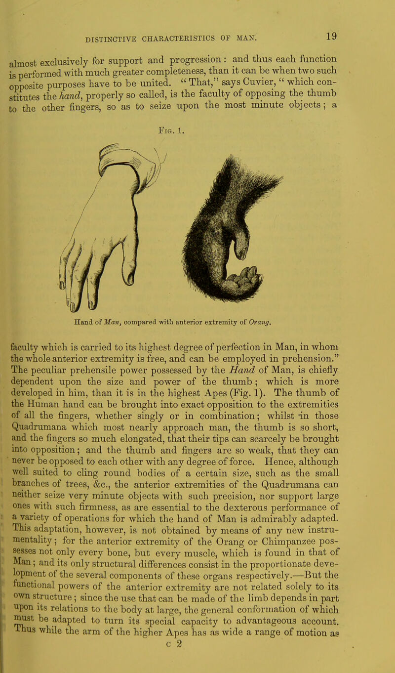 almost exclusively for support and progression : and thus each function is performed with much greater completeness, than it can be when two such opposite purposes have to be united.  That, says Cuvier,  which con- stitutes the hand, properly so called, is the faculty of opposing the thumb to the other fingers, so as to seize upon the most minute objects; a Fig. 1. Hand of Man, compared with anterior extremity of Orang. faculty which is carried to its highest degree of perfection in Man, in whom the whole anterior extremity is free, and can be employed in prehension. The peculiar prehensile power possessed by the Hand of Man, is chiefly dependent upon the size and power of the thumb ; which is more developed in him, than it is in the highest Apes (Fig. 1). The thumb of the Human hand can be brought into exact opposition to the extremities of all the fingers, whether singly or in combination; whilst -in those Quadrumana which most nearly approach man, the thumb is so short, and the fingers so much elongated, that their tips can scarcely be brought into opposition; and the thumb and fingers are so weak, that they can never be opposed to each other with any degree of force. Hence, although well suited to cling round bodies of a certain size, such as the small branches of trees, &c, the anterior extremities of the Quadrumana can neither seize very minute objects with such precision, nor support large ones with such firmness, as are essential to the dexterous performance of a variety of operations for which the hand of Man is admirably adapted. This adaptation, however, is not obtained by means of any new instru- mentality ; for the anterior extremity of the Orang or Chimpanzee pos- sesses not only every bone, but every muscle, which is found in that of Man; and its only structural differences consist in the proportionate deve- lopment of the several components of these organs respectively.—But the functional powers of the anterior extremity are not related solely to its own structure; since the use that can be made of the limb depends in part upon its relations to the body at large, the general conformation of which must be adapted to turn its special capacity to advantageous account, lnus while the arm of the higher Apes has as wide a range of motion as C 2