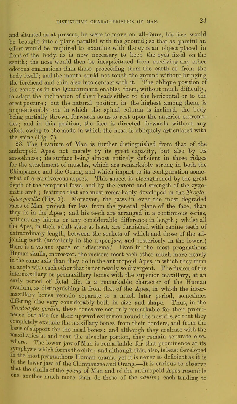 and situated as at present, he were to move on all-fours, his face would be brought into a plane parallel with the ground; so that as painful an effort would be required to examine with the eyes an object placed in front of the body, as is now necessary to keep the eyes fixed on the zenith; the nose would then be incapacitated from receiving any other odorous emanations than those proceeding from the earth or from the body itself; and the mouth could not touch the ground without bringing the forehead and chin also into contact with it. The oblique position of the condyles in the Quadrumana enables them, without much difficulty, to adapt the inclination of their heads either to the horizontal or to the erect posture ; but the natural position, in the highest among them, is unquestionably one in which the spinal column is inclined, the body being partially thrown forwards so as to rest upon the anterior extremi- ties; and in this position, the face is directed forwards without any effort, owing to the mode in which the head is obliquely articulated with the spine (Fig. 7). 23. The Cranium of Man is further distinguished from that of the anthropoid Apes, not merely by its great capacity, but also by its smoothness ; its surface being almost entirely deficient in those ridges for the attachment of muscles, which are remarkably strong in both the Chimpanzee and the Orang, and which impart to its configuration some- what of a carnivorous aspect. This aspect is strengthened by the great depth of the temporal fossa, and by the extent and strength of the zygo- matic arch ; features that are most remarkably developed in the Troglo- dytes gorilla (Fig. 7). Moreover, the jaws in even the most degraded races of Man project far less from the general plane of the face, than they do in the Apes; and his teeth are arranged in a continuous series, without any hiatus or any considerable difference in length ; whilst all the Apes, in their adult state at least, are furnished with canine teeth of extraordinary length, between the sockets of which and those of the ad- joining teeth (anteriorly in the upper jaw, and posteriorly in the lower,) there is a vacant space or ' diastema.' Even in the most prognathous Human skulls, moreover, the incisors meet each other much more nearly in the same axis than they do in the anthropoid Apes, in which they form an angle with each other that is not nearly so divergent. The fusion of the intermaxillary or premaxillary bones with the superior maxillary, at an early period of foetal life, is a remarkable character of the Human cranium, as distinguishing it from that of the Apes, in which the inter- maxillary bones remain separate to a much later period, sometimes differing also very considerably both in size and shape. Thus, in the Troglodytes gorilla, these bones are not only remarkable for their promi- nence, but also for their upward extension round the nostrils, so that they completely exclude the maxillary bones from their borders, and from the basis of support for the nasal bones; and although they coalesce with the maxillaries at and near the alveolar portion, they remain separate else- where. The lower jaw of Man is remarkable for that prominence at its symphysis which forms the chin; and although this, also, is least developed in the most prognathous Human crania, yet it is never so deficient as it is in the lower jaw of the Chimpanzee and Orang.—It is curious to observe that the skulls of the young of Man and of the anthropoid Apes resemble one another much more than do those of the adults; each tending to
