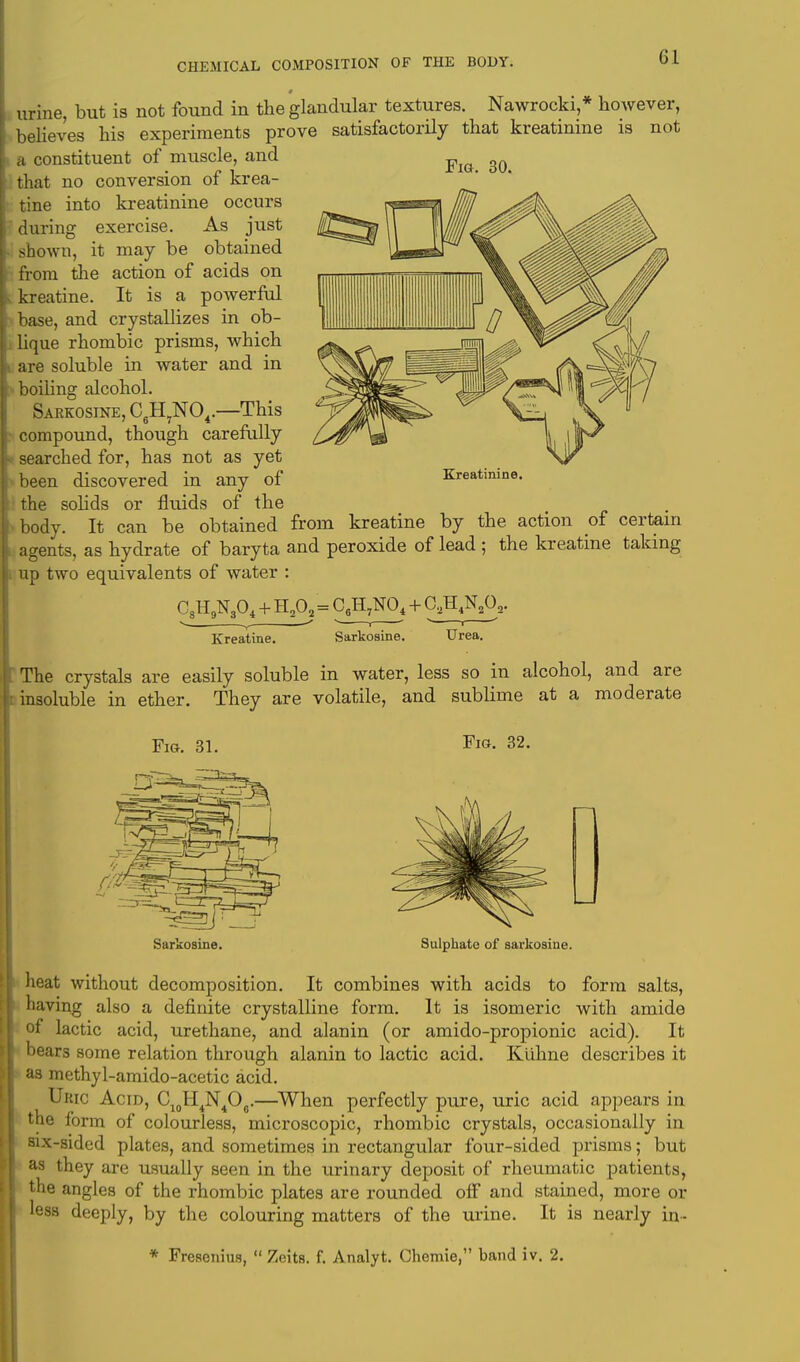 Fig. 30. urine, but is not found in the glandular textures. Nawrocki,* however, believes his experiments prove satisfactorily that kreatinine is not a constituent of muscle, and that no conversion of krea- tine into kreatinine occurs during exercise. As just shown, it may be obtained from the action of acids on kreatine. It is a powerful base, and crystallizes in ob- lique rhombic prisms, which are soluble in water and in boiling alcohol. Sarkosike, C6H7N04.—This compound, though carefully searched for, has not as yet been discovered in any of the solids or fluids of the body. It can be obtained from kreatine by the action of certain agents, as hydrate of baryta and peroxide of lead ; the kreatine taking up two equivalents of water : C8H9N,04 + H202 - C6H7N04 + C2H4N202. Sarkoaine. Kreatinine. Kreatine. Urea. The crystals are easily soluble in water, less so in alcohol, and are insoluble in ether. They are volatile, and sublime at a moderate Fig. 32. Sulphate of sarkoaine. heat without decomposition. It combines with acids to form salts, having also a definite crystalline form. It is isomeric with amide of lactic acid, urethane, and alanin (or amido-propionic acid). It bears some relation through alanin to lactic acid. Kuhne describes it as methyl-amido-acetic acid. Umc Acid, C10H4N4O6.—When perfectly pure, uric acid appears in the form of colourless, microscopic, rhombic crystals, occasionally in six-sided plates, and sometimes in rectangular four-sided prisms; but as they are usually seen in the urinary deposit of rheumatic patients, the angles of the rhombic plates are rounded off and stained, more or less deeply, by the colouring matters of the urine. It is nearly in- * FreRenius,  Zeita. f. Analyt. Chemie, band iv. 2.