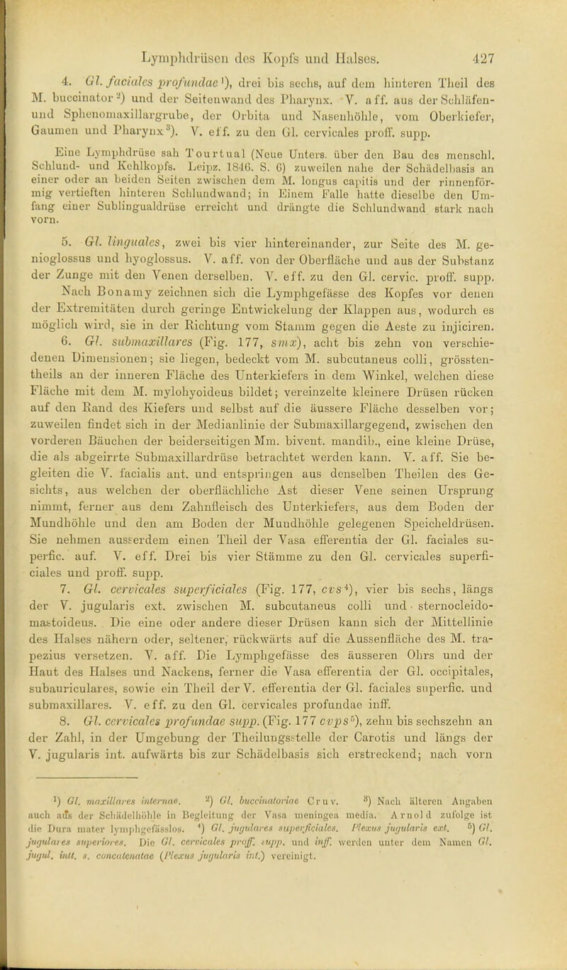 4. Gl. faciales profundae^), drei bis seclis, auf dem liiiiteren Tlieil des M. buccinator -) und der Seiteuwand des Pharynx. V. a ff. aus der Scbläfen- und Sphenouiaxillargrube, der Orbita und Nasenliöhle, vom Oberkiefer, Gaumen und Pharynx^). V. eff. zu den Gl. cervicales profl'. supp. Eine Lymijhdrüse sah Tourtual (Neue Unters, über den Bau des mcnschl. Schlund- und Kehlkopfs. Lcipz. 184G. S. G) zuweilen nahe der Schädelbasis an einer oder an beiden Seiten zwischen dem M. longus capitis und der rinnenför- mig vertieften hintereu Schlund wand; in Einem Falle liatte dieselbe den Um- fang eiuer Sublingualdrüse erreicht und drängte die Schlundwand stark nach vorn. 5. Gl. linguales, zwei bis vier bintereinander, zur Seite des M. ge- nioglossus uud byoglossus. V. äff. von der Obei-fläcbe und aus der Substanz der Zunge mit den Venen derselben. V. eff. zu den Gl. cervic. proff. supp. Nach Bonamy zeicbnen sich die Lymphgefässe des Kopfes vor denen der Extremitäten durch geringe Eutwickelung der Klappen aus, wodurch es möglich wird, sie in der Richtung vom Stamm gegen die Aeste zu injiciren. 6. Gl. submaxülares (Fig. 177, smx), acht bis zehn von verschie- deneu Dimensionen; sie liegen, bedeckt vom M. subcutaneus colli, grössten- theils au der inneren Fläche des Unterkiefers in dem Winkel, welchen diese Fläche mit dem M. mylohyoideus bildet; vereinzelte kleinere Drüsen rücken auf den Rand des Kiefers und selbst auf die äussere Fläche desselben vor; zuweilen findet sich in der Medianlinie der Submaxillargegend, zwischen den vorderen Bäuchen der beiderseitigen Mm. bivent. mandib., eine kleine Drüse, die als abgeirrte Submaxillardrüse betrachtet werden kann. V. äff. Sie be- gleiten die V. facialis ant. und entspringen aus denselben Theilen des Ge- sichts , aus welchen der oberflächliche Ast dieser Vene seinen Ursprung nimmt, ferner aus dem Zahnfleisch des Unterkiefers, aus dem Boden der Mundhöhle und den am Boden der Mundhöhle gelegenen Speicheldrüsen. Sie nehmen ausserdem einen Theil der Vasa efferentia der Gl. faciales su- perfic. auf. V. eff. Drei bis vier Stämme zu den Gl. cervicales superfi- ciales und proff. supp. 7. Gl. cen-icales superficiales (Fig. 177, cts*), vier bis sechs, längs der V. jugularis ext. zwischen M. subcutaneus colli und • sternocleido- mabtoideus. Die eine oder andere dieser Drüsen kann sich der Mittellinie des Halses nähern oder, seltener, rückwärts auf die Aussenfläche des M. tra- pezius versetzen. V. äff. Die Lymphgefässe des äusseren Ohrs und der Haut des Halses und Nackens, ferner die Vasa efi'erentia der Gl. occipitales, subauriculares, sowie ein Theil derV. efferentia der Gl. faciales superfic. und submaxillares. V. eff. zu den Gl. cervicales profundae inff. 8. Gl. cervicales profmdae supp. (Fig. 177 cvps-'), zehn bis sechszehn an der Zahl, in der Umgebung der Theilungss^telle der Carotis und längs der V. jugularis int. aufwärts bis zur Schädelbasis sich erstreckend; nach vorn ') Gl. mnxiUares internae. '■^'j Ol. huccinaloriae Cruv. Nach älteren Angilben aucli .1US der Scliädeiiiölile in Begleitung der Vasa meningea media. Arnold zufolge ist die Dura mater lynijiligefässlos. ■*) Gl. jmjtilares superficiales. Plexus juijulnrls ext. 6J jugulaies snperiores. Die Gl. cervicales proff. tupp. und iuff. werden unter dem Namen Gl. j'ut/ul. iiUl. s. concutciiatae {Plexus Juyularis ir.t.) vereinigt.