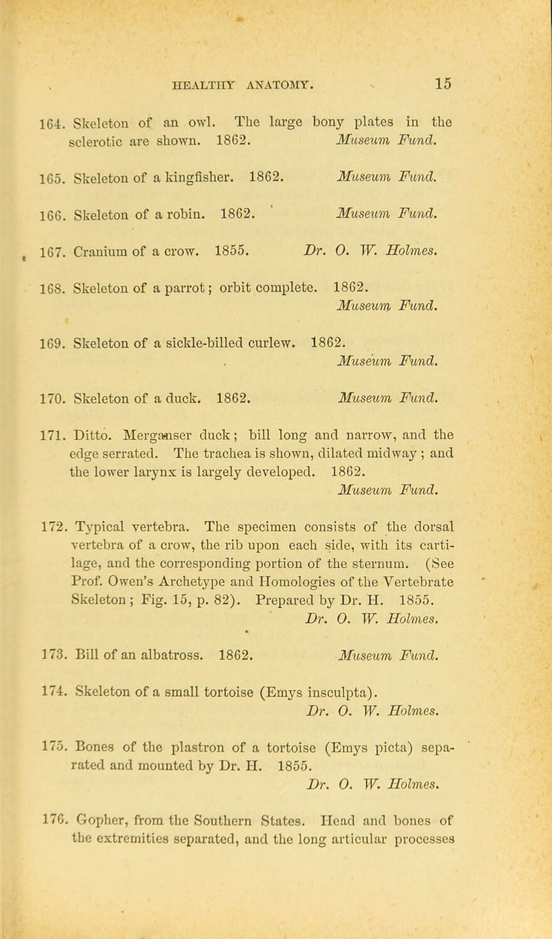 164. Skeleton of an owl. The large bony plates in the sclerotic are shown. 1862. Museum Fund. 165. Skeleton of a kingfisher. 1862. Museum Fund. 166. Skeleton of a robin. 1862.  Museum Fund. 167. Cranium of a crow. 1855. Dr. 0. W. Holmes. 168. Skeleton of a parrot; orbit complete. 1862. Museum Fund. 169. Skeleton of a sickle-billed curlew. 1862. Museum Fund. 170. Skeleton of a duck. 1862. Museum Fund. 171. Ditto. Mergainser duck; bill long and narrow, and the edge serrated. The trachea is shown, dilated midway ; and the lower larynx is largely developed. 1862. Museum Fund. 172. Typical vertebra. The specimen consists of the dorsal vertebra of a crow, the rib upon each side, with its carti- lage, and the corresponding portion of the sternum. (See Prof. Owen's Archetype and Homologies of the Vertebrate Skeleton ; Fig. 15, p. 82). Prepared by Dr. H. 1855. Dr. 0. W. Holmes. 173. Bill of an albatross. 1862. Museum Fund. 174. Skeleton of a small tortoise (Emys insculpta). Dr. 0. W. Holmes. lib. Bones of the plastron of a tortoise (Emys picta) sepa- rated and mounted by Dr. H. 1855. Dr. 0. W. Holmes. 176. Gopher, from the Southern States. Head and bones of the extremities separated, and the long articular processes