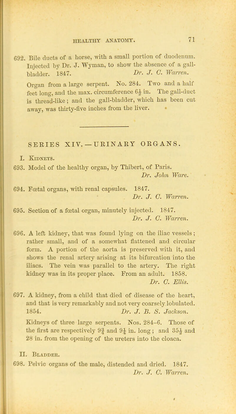 692. Bile ducts of a horse, with a small portion of duodenum. Injected by Dr. J. Wyman, to show the absence of a gall- bladder. 1847. I)r. J. C. Warren. Organ from a large serpent. No. 284. Two and a half feet long, and the max. circumference 6 J in. The gall-duct is thi-ead-like; and the gall-bladder, which has been cut away, was thirty-five inches from the liver. SERIES XIV. —URINARY ORGANS. I. Kidneys. 693. Model of the healthy organ, by Thibert, of Paris. Dr. John Ware. 694. Foetal organs, with renal capsules. 1847. Dr. J. C. Warren. 695. Section of a foetal organ, minutely injected. 1847. Dr. J. C. Warren. 696. A left kidney, that was found lying on the iliac vessels; rather small, and of a somewhat flattened and circular form. A portion of the aorta is preserved with it, and shows the renal artery arising at its bifurcation into the iliacs. The vein was parallel to the artery. The right kidney was in its proper place. From an adult. 1858. Dr. C. Ellis. 697. A kidney, from a child that died of disease of the heart, and that is very remarkably and not very coarsely lobulated. 1854. Dr. J. B. S. Jackson. Kidneys of three large serpents. Nos. 284-6, Those of the first are respectively 9| and 9^ in. long; and 35 J and 28 in. from the opening of the ureters into the cloaca. II. Bladder. 698. Pelvic organs of the male, distended and dried. 1847. Dr. J. C. Warren.