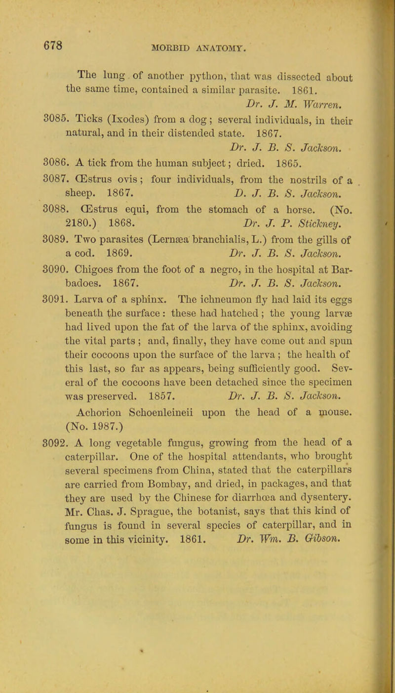 The lung of another python, that was dissected about the same time, contained a similar parasite. 1861. Dr. J. M. Warren. 3085. Ticks (Ixodes) from a dog; several individuals, in their natural, and in their distended state. 1867. Dr. J. B. S. Jackson. 3086. A tick from the human subject; dried. 1865. 3087. CEstrus ovis; four individuals, from the nostrils of a sheep. 1867. D. J. B. S. Jackson. 3088. CEstrus equi, from the stomach of a horse. (No. 2180.) 1868. Dr. J. P. Stickney. 3089. Two parasites (Lernsea branchialis, L.) from the gills of a cod. 1869. Dr. J. B. S. Jackson. 3090. Chigoes from the foot of a negi'o, in the hospital at Bar- badoes. 1867. Dr. J. B. S. Jackson. 3091. Larva of a sphinx. The ichneumon fly had laid its eggs beneath the surface : these had hatched ; the young larvae had lived upon the fat of the larva of the sphinx, avoiding the vital parts ; and, finally, they have come out and spun their cocoons upon the surface of the larva; the health of this last, so far as appears, being sufficientlj'^ good. Sev- eral of the cocoons have been detached since the specimen was preserved. 1857. Dr. J. B. S. Jackson. Achorion Schoenleineii upon the head of a mouse. (No. 1987.) 3092. A long vegetable fungus, growing from the head of a caterpillar. One of the hospital attendants, who brought several specimens from China, stated that the caterpillars are carried from Bombay, and dried, in packages, and that they are used by the Chinese for diarrhoea and dysentery. Mr. Chas. J. Sprague, the botanist, says that this kind of fungus is found in several species of caterpillar, and in some in this vicinity. 1861. Dr. Wm. B. Gibson.