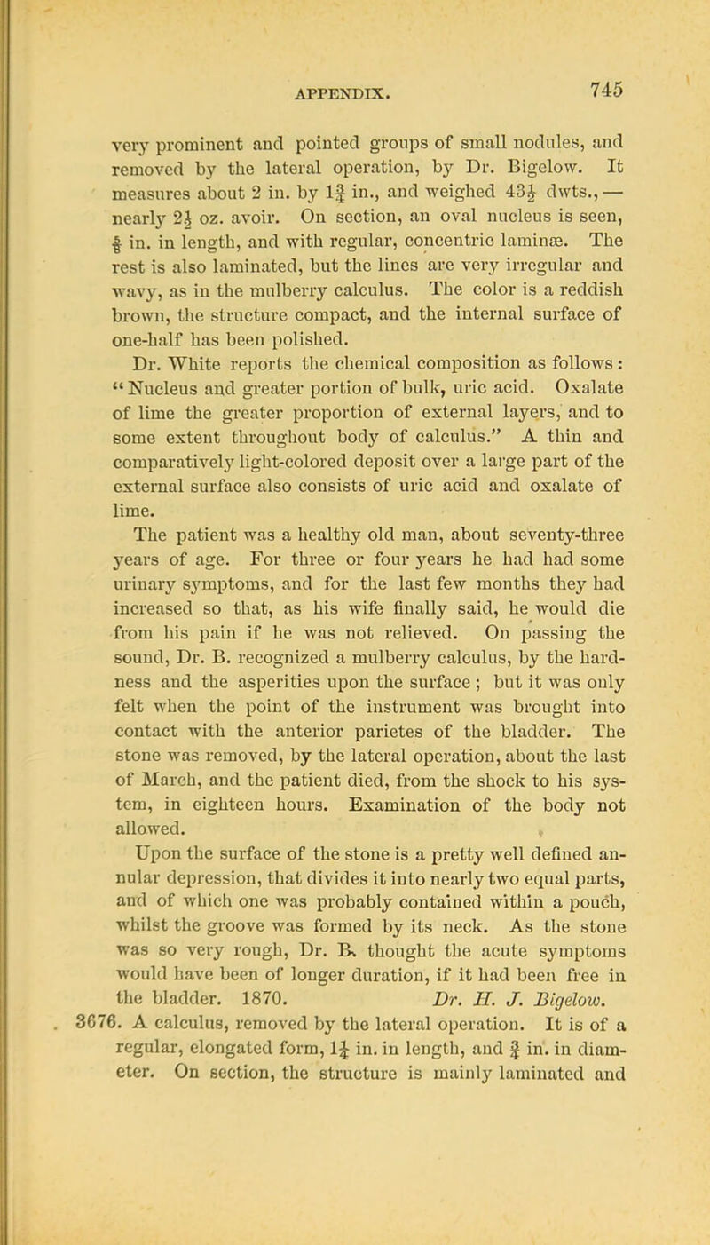 very prominent and pointed groups of small nodules, and removed by the lateral operation, by Dr. Bigelow. It measures about 2 in. by If in., and weighed 43J dwts., — nearl}^ 2i oz. avoir. On section, an oval nucleus is seen, ^ in. in length, and with regular, concentric laminae. The rest is also laminated, but the lines are very irregular and wavy, as in the mulberry calculus. The color is a reddish brown, the structure compact, and the internal surface of one-half has been polished. Dr. White reports the chemical composition as follows :  Nucleus and greater portion of bulk, uric acid. Oxalate of lime the greater proportion of external layers, and to some extent throughout body of calculus. A thin and comparativel}' light-colored deposit over a large part of the external surface also consists of uric acid and oxalate of lime. The patient was a healthy old man, about seventy-three years of age. For three or four years he had had some urinary symptoms, and for the last few months they had increased so that, as his wife finally said, he would die from his pain if he was not relieved. On passing the sound. Dr. B. recognized a mulberry calculus, by the hard- ness and the asperities upon the surface ; but it was only felt when the point of the instrument was brought into contact with the anterior parietes of the bladder. The stone was removed, by the lateral operation, about the last of March, and the patient died, from the shock to his sys- tem, in eighteen hours. Examination of the body not allowed. Upon the surface of the stone is a pretty well defined an- nular depression, that divides it into nearly two equal parts, and of which one was probably contained within a pouch, whilst the groove was formed by its neck. As the stone was so very rough. Dr. Bv thought the acute symptoms would have been of longer duration, if it had been free in the bladder. 1870. Dr. H. J. Bigelow. 3676. A calculus, removed by the lateral operation. It is of a regular, elongated form, 1^ in. in length, and f in. in diam- eter. On section, the structure is mainly laminated and