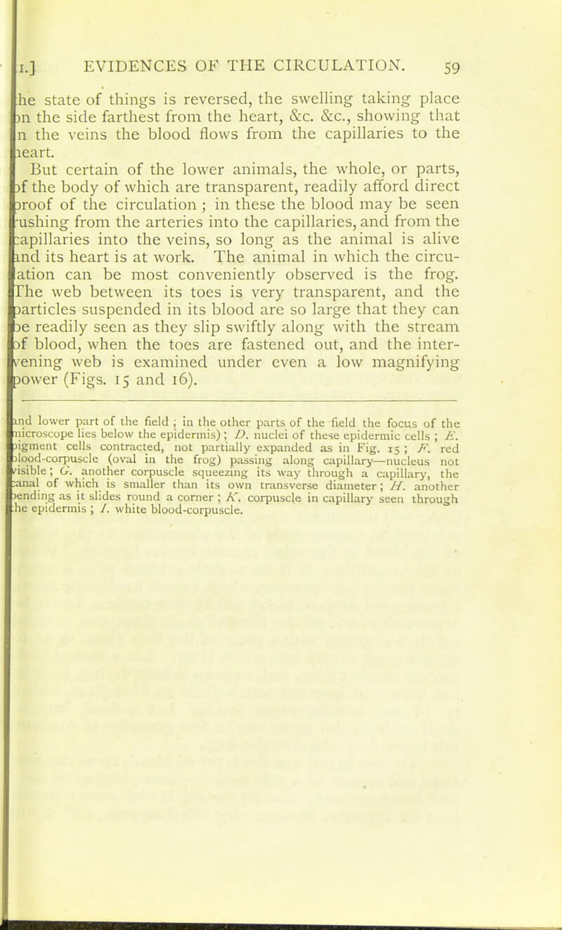 he state of things is reversed, the swelling taking place Ini the side farthest from the heart, &c. &c., showing that n the veins the blood flows from the capillaries to the leart. But certain of the lower animals, the whole, or parts, if the body of which are transparent, readily afford direct iroof of the circulation ; in these the bloocl may be seen ushing from the arteries into the capillaries, and from the :apillaries into the veins, so long as the animal is alive ind its heart is at work. The animal in which the circu- ation can be most conveniently observed is the frog. The web between its toes is very transparent, and the larticles suspended in its blood are so large that they can ie readily seen as they slip swiftly along with the stream if blood, when the toes are fastened out, and the inter- vening web is examined under even a low magnifying power (Figs. 15 and 16). ind lower part of the field ; in the other parts of the field the focus of the nicroscope lies below the epidermis) ; D. nuclei of these epidermic cells ; E. figment cells contracted, not partially expanded as in Fig. 15 ; F. red §ilood-corpuscle (oval in the frog) passing along capillary—nucleus not visible; G. another corpuscle squeezing its way through a capillary, the 'anal of which is smaller than its own transverse diameter; H. another rending as i t slides round a corner ; K. corpuscle in capillary seen through he epidermis ; /. white blood-corpuscle.