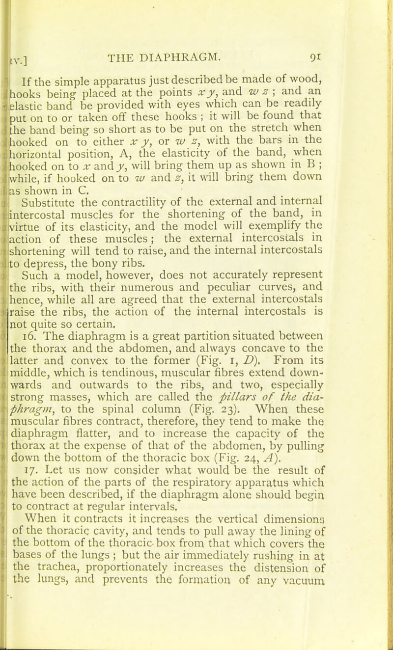 DM If the simple apparatus just described be made of wood, hooks being placed at the points xy, and w z ; and an elastic band be provided with eyes which can be readily put on to or taken off these hooks ; it will be found that the band being so short as to be put on the stretch when hooked on to either x y, or w z, with the bars in the horizontal position, A, the elasticity of the band, when hooked on to x and_y, will bring them up as shown in B ; while, if hooked on to w and z, it will bring them down ns shown in C. Substitute the contractility of the external and internal intercostal muscles for the shortening of the band, in Ivirtue of its elasticity, and the model will exemplify the action of these muscles; the external intercostals in shortening will tend to raise, and the internal intercostals ito depress, the bony ribs. Such a model, however, does not accurately represent the ribs, with their numerous and peculiar curves, and hence, while all are agreed that the external intercostals raise the ribs, the action of the internal intercostals is not quite so certain, 16. The diaphragm is a great partition situated between the thorax and the abdomen, and always concave to the latter and convex to the former (Fig. I, D), From its middle, which is tendinous, muscular fibres extend down- wards and outwards to the ribs, and two, especially strong masses, which are called the pillars of the dia- phragm, to the spinal column (Fig. 23). When these muscular fibres contract, therefore, they tend to make the diaphragm flatter, and to increase the capacity of the thorax at the expense of that of the abdomen, by pulling down the bottom of the thoracic box (Fig. 24, A). 17. Let us now consider what would be the result of the action of the parts of the respiratory apparatus which n have been described, if the diaphragm alone should begin ! to contract at regular intervals. When it contracts it increases the vertical dimensions of the thoracic cavity, and tends to pull away the lining of the bottom of the thoracic box from that which covers the bases of the lungs ; but the air immediately rushing in at the trachea, proportionately increases the distension of the lungs, and prevents the formation of any vacuum