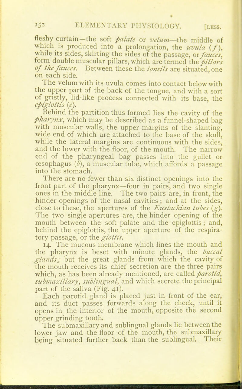 fleshy curtain—the soft palate or velum—the middle of which is produced into a prolongation, the uvula (/), while its sides, skirting the sides of the passage, or fauces, form double muscular pillars, which are termed the pillars of the fauces. Between these the tonsils are situated, one on each side. The velum with its uvula comes into contact below with the upper part of the back of the tongue, and with a sort of gristly, lid-like process connected with its base, the epiglottis if). Behind the partition thus formed lies the cavity of the pharynx, which may be described as a funnel-shaped bag with muscular walls, the upper margins of the slanting, wide end of which are attached to the base of the skull, while the lateral margins are continuous with the sides, and the lower with the floor, of the mouth. The narrow end of the pharyngeal bag passes into the gullet or oesophagus (b), a muscular tube, which affords a passage into the stomach. There are no fewer than six distinct openings into the front part of the pharynx—four in pairs, and two single ones in the middle line. The two pairs are, in front, the hinder openings of the nasal cavities ; and at the sides, close to these, the apertures of the Eustachian tubes (g). The two single apertures are, the hinder opening of the mouth between the soft palate and the epiglottis ; and, behind the epiglottis, the upper aperture of the respira- tory passage, or the glottis. 14. The mucous membrane which lines the mouth and the pharynx is beset with minute glands, the buccal glandsj but the great glands from which the cavity of the mouth receives its chief secretion are the three pairs which, as has been already mentioned, are called parotid, submaxillary, sublingual, and which secrete the principal part of the saliva (Fig. 41). Each parotid gland is placed just in front of the ear, and its duct passes forwards along the cheek, until it opens in the interior of the mouth, opposite the second upper grinding tooth. The submaxillary and sublingual glands lie between the lower jaw and the floor of the mouth, the submaxillary being situated further back than the sublingual. Their