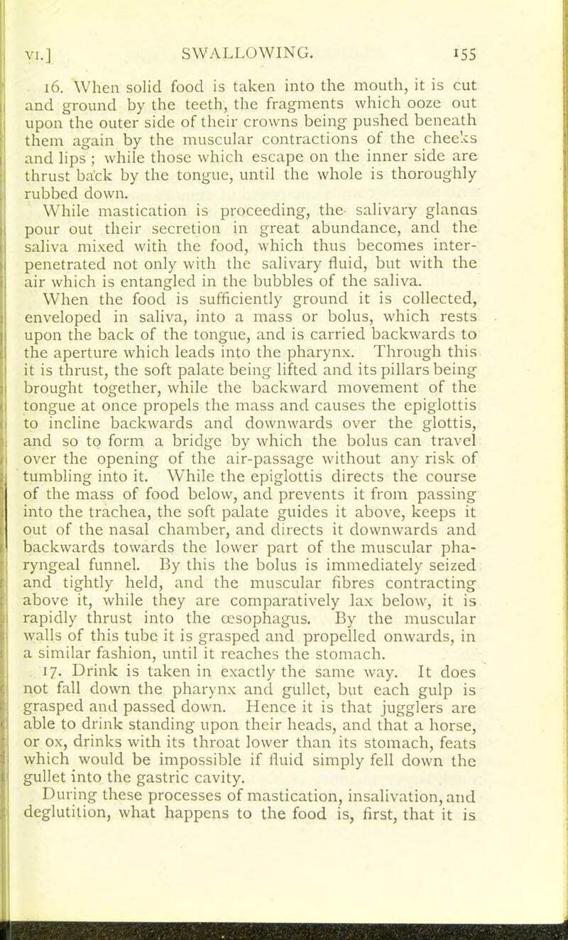 16. When solid food is taken into the mouth, it is cut and ground by the teeth, the fragments which ooze out upon the outer side of their crowns being pushed beneath them again by the muscular contractions of the cheeks and lips ; while those which escape on the inner side are thrust back by the tongue, until the whole is thoroughly rubbed down. While mastication is proceeding, the- salivary glancis pour out their secretion in great abundance, and the saliva mixed with the food, which thus becomes inter- penetrated not only with the salivary fluid, but with the air which is entangled in the bubbles of the saliva. When the food is sufficiently ground it is collected, enveloped in saliva, into a mass or bolus, which rests upon the back of the tongue, and is carried backwards to the aperture which leads into the pharynx. Through this it is thrust, the soft palate being lifted and its pillars being brought together, while the backward movement of the tongue at once propels the mass and causes the epiglottis to incline backwards and downwards over the glottis, and so to form a bridge by which the bolus can travel over the opening of the air-passage without any risk of tumbling into it. While the epiglottis directs the course of the mass of food below, and prevents it from passing into the trachea, the soft palate guides it above, keeps it out of the nasal chamber, and directs it downwards and backwards towards the lower part of the muscular pha- ryngeal funnel. By this the bolus is immediately seized and tightly held, and the muscular fibres contracting above it, while they are comparatively lax below, it is rapidly thrust into the oesophagus. By the muscular walls of this tube it is grasped and propelled onwards, in a similar fashion, until it reaches the stomach. 17. Drink is taken in exactly the same way. It does not fall down the pharynx and gullet, but each gulp is grasped and passed down. Hence it is that jugglers are able to drink standing upon their heads, and that a horse, or ox, drinks with its throat lower than its stomach, feats which would be impossible if fluid simply fell down the gullet into the gastric cavity. During these processes of mastication, insalivation, and deglutition, what happens to the food is, first, that it is