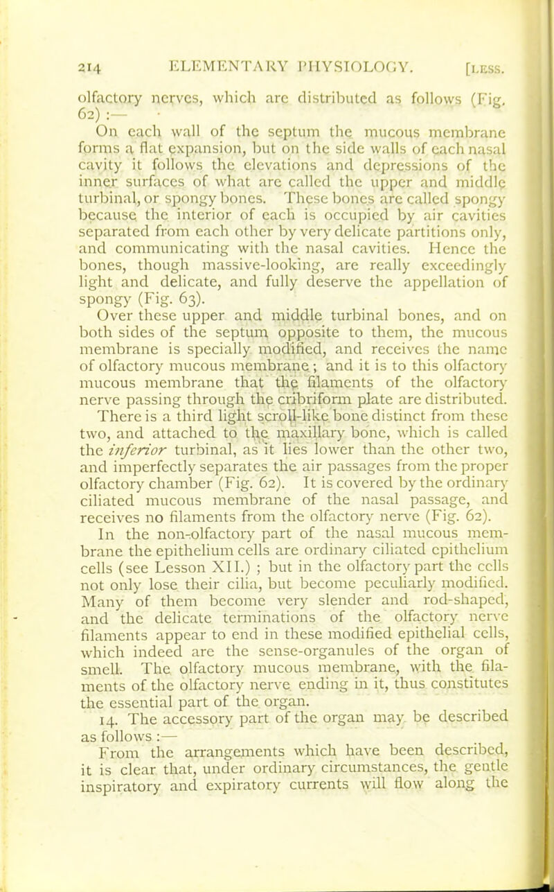 olfactory nerves, which are distributed as follows (Fig. 62) :— On each wall of the septum the mucous membrane forms a flat expansion, but on the side walls of each nasal cavity it follows the elevations and depressions of the inner surfaces of what are called the upper and middle turbinal, or spongy bones. These bones are called spongy because the interior of each is occupied by air cavities separated from each other by very delicate partitions only, and communicating with the nasal cavities. Hence the bones, though massive-looking, are really exceedingly light and delicate, and fully deserve the appellation of spongy (Fig. 63). Over these upper and middle turbinal bones, and on both sides of the septum, opposite to them, the mucous membrane is specially modified, and receives the name of olfactory mucous membrane ; and it is to this olfactory mucous membrane that the filaments of the olfactory nerve passing through the cribriform plate are distributed. There is a third light scroll-like bone distinct from these two, and attached to the maxillary bone, which is called the inferior turbinal, as it lies lower than the other two, and imperfectly separates the air passages from the proper olfactory chamber (Fig. 62). It is covered by the ordinary ciliated mucous membrane of the nasal passage, and receives no filaments from the olfactory nerve (Fig. 62). In the nomolfactory part of the nasal mucous mem- brane the epithelium cells are ordinary ciliated epithelium cells (see Lesson XII.) ; but in the olfactory part the cells not only lose their cilia, but become peculiarly modified. Many of them become very slender and rod-shaped, and the delicate terminations of the olfactory nerve filaments appear to end in these modified epithelial cells, which indeed are the sense-organules of the organ of smell. The olfactory mucous membrane, with the fila- ments of the olfactory nerve ending in it, thus constitutes the essential part of the organ. 14. The accessory part of the organ may be described as follows :— From the arrangements which have been described, it is clear that, under ordinary circumstances, the gentle inspiratory and expiratory currents will flow along the