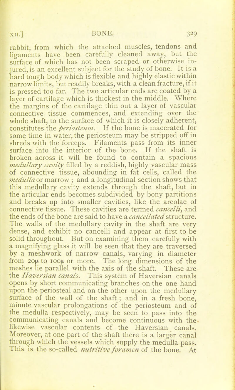 rabbit, from which the attached muscles, tendons and ligaments have been carefully cleaned away, but the surface of which has not been scraped or otherwise in- jured, is an excellent subject for the study of bone. It is a hard tough body which is flexible and highly elastic within narrow limits, but readily breaks, with a clean fracture, if it is pressed too far. The two articular ends are coated by a layer of cartilage which is thickest in the middle. Where the margins of the cartilage thin out a layer of vascular connective tissue commences, and extending over the whole shaft, to the surface of which it is closely adherent, constitutes the. periosteum. If the bone is macerated for some time in water, the periosteum may be stripped off in shreds with the forceps. Filaments pass from its inner surface into the interior of the bone. If the shaft is broken across it will be found to contain a spacious medullary cavity filled by a reddish, highly vascular mass of connective tissue, abounding in fat cells, called the medulla or marrow ; and a longitudinal section shows that this medullary cavity extends through the shaft, but in the articular ends becomes subdivided by bony partitions and breaks up into smaller cavities, like the areolae of connective tissue. These cavities are termed ca?icelli, and the ends of the bone are said to have a cancellated structure. The walls of the medullary cavity in the shaft are very dense, and exhibit no cancelli and appear at first to be solid throughout. But on examining them carefully with a magnifying glass it will be seen that they are traversed by a meshwork of narrow canals, varying in diameter from 20(a to ioofj. or more. The long dimensions of the meshes lie parallel with the axis of the shaft. These are the Haversia?i canals. This system of Haversian canals opens by short communicating branches on the one hand upon the periosteal and on the other upon the medullary surface of the wall of the shaft ; and in a fresh bone, minute vascular prolongations of the periosteum and of the medulla respectively, may be seen to pass into the communicating canals and become continuous with the- likewise vascular contents of the Haversian canals. Moreover, at one part of the shaft there is a larger canal through which the vessels which supply the medulla pass. This is the so-called nutritive foramen of the bone. At